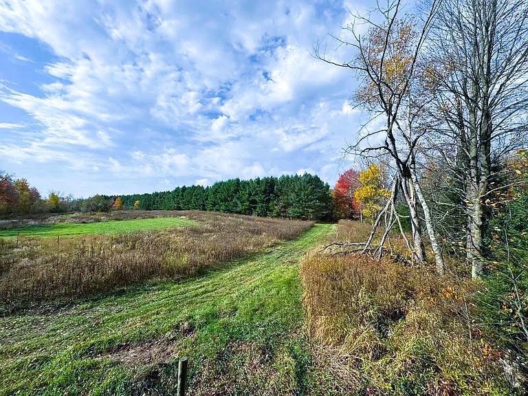 Na County Rd O Bruce, WI 54819 - Photo 7 of 50