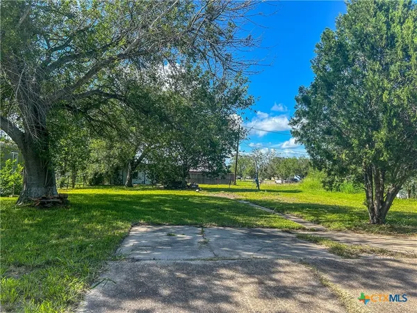 a big yard with large trees