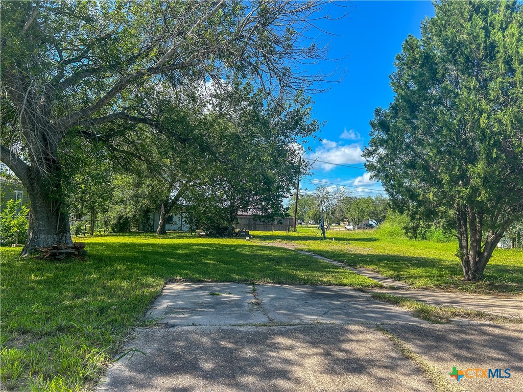 3112 East Rio Grande Street Victoria, TX 77901 - Photo 1 of 2 a big yard with large trees
