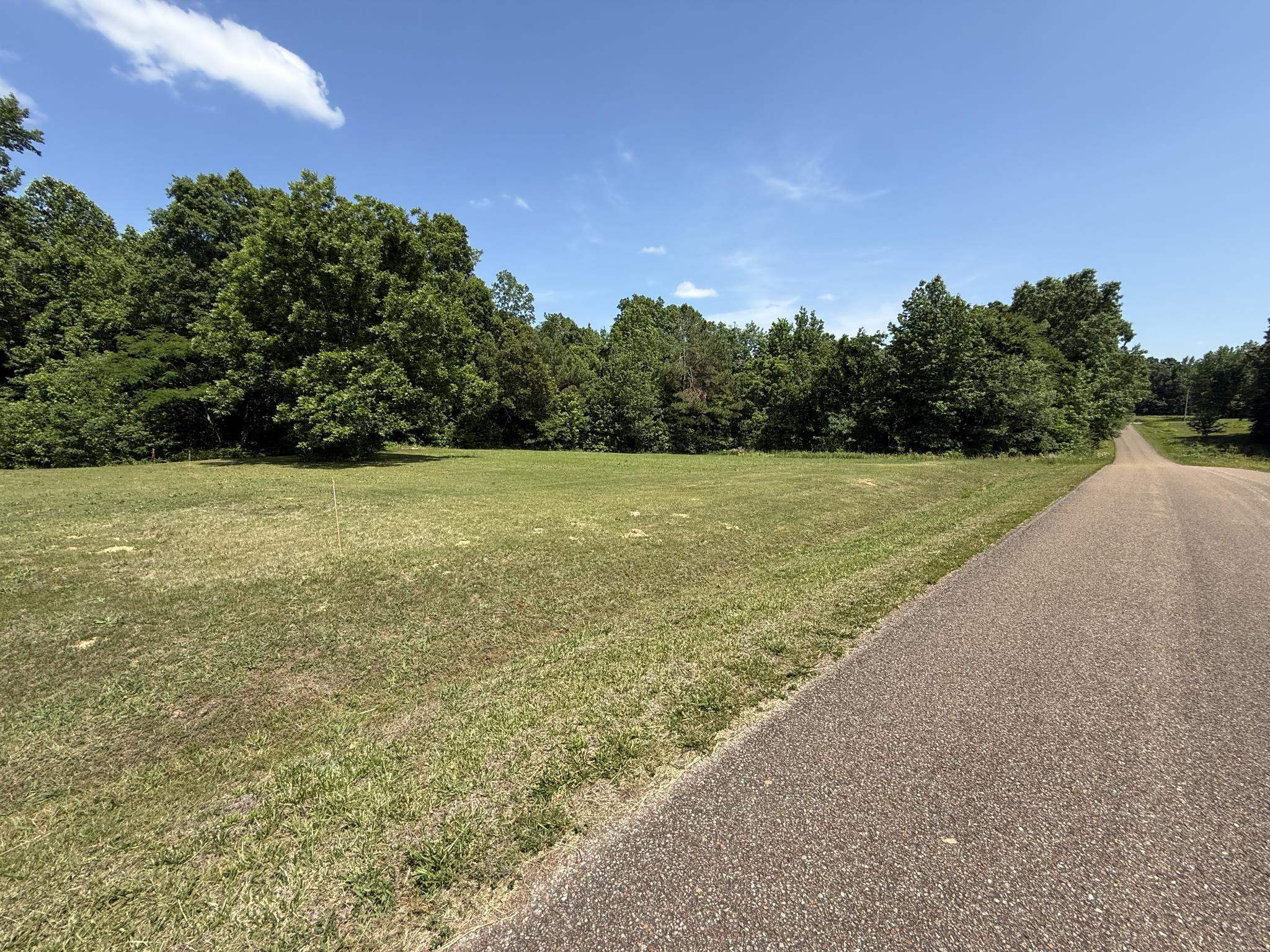 1 Carter Road Saltillo, TN 38370 - Photo 8 of 40 a view of a field with an outdoor space