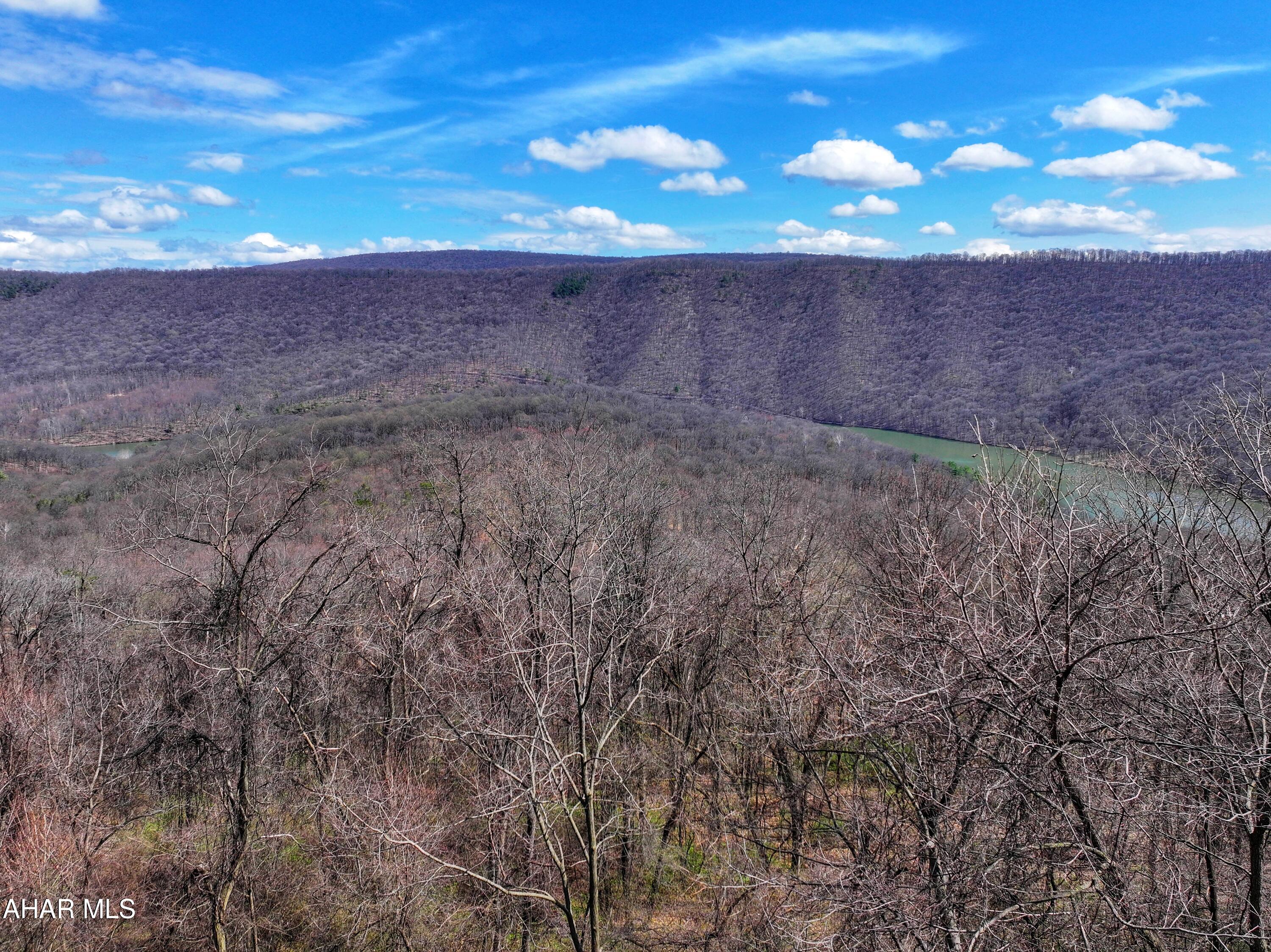 0 Pine Ridge Road Saxton, PA 16678 - Photo 10 of 23