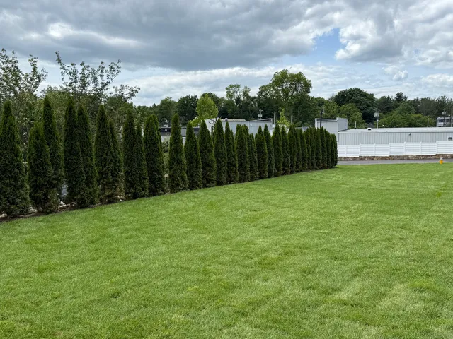 a backyard of a house with lots of green space