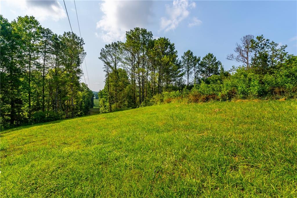 0 Four 4 Mile Church Road Ball Ground, GA 30107 - Photo 13 of 25