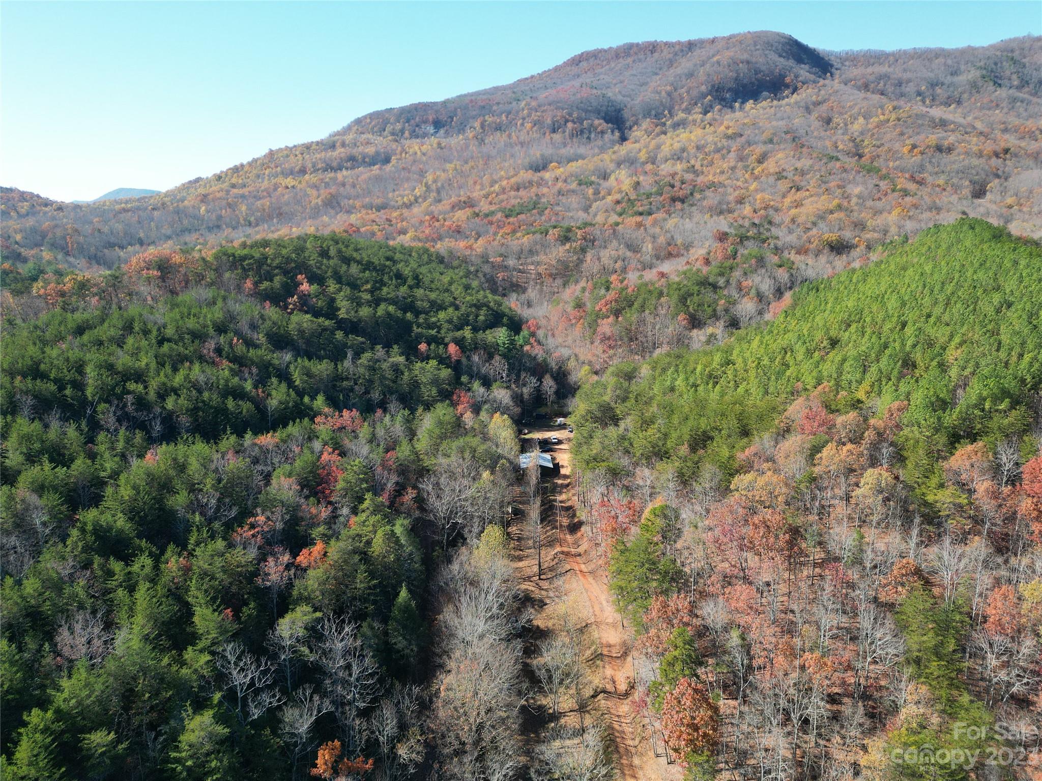 1163 State Rd Mill Spring Mill Spring, NC 28756 - Photo 11 of 31 an aerial view of mountain and tree