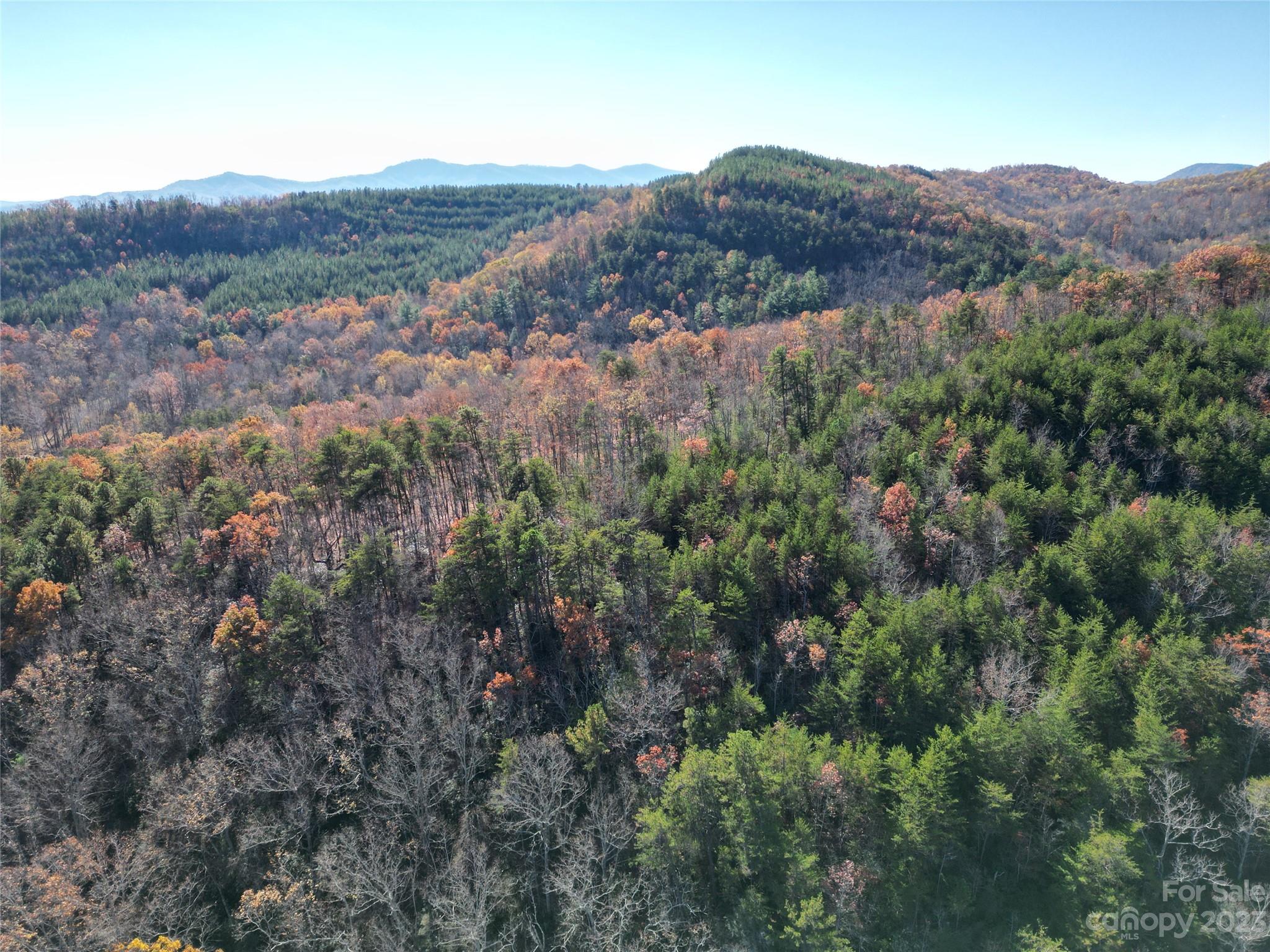 1163 State Rd Mill Spring Mill Spring, NC 28756 - Photo 13 of 31 a view of a forest with mountains in the background