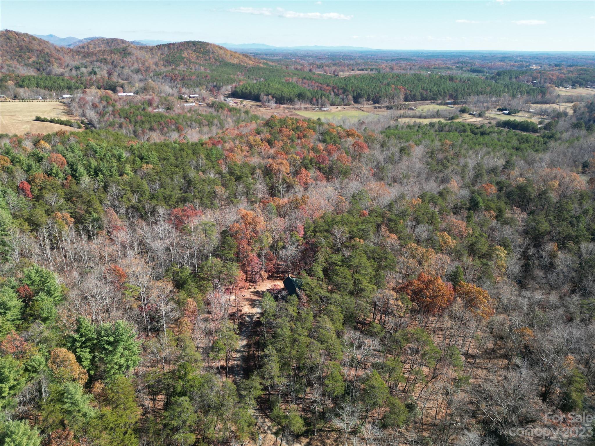 1163 State Rd Mill Spring Mill Spring, NC 28756 - Photo 15 of 31 an aerial view of forest