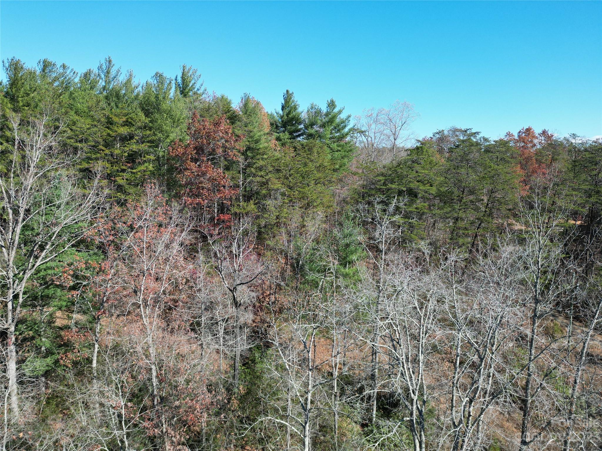 1163 State Rd Mill Spring Mill Spring, NC 28756 - Photo 20 of 31 a view of a forest with a mountain in the background