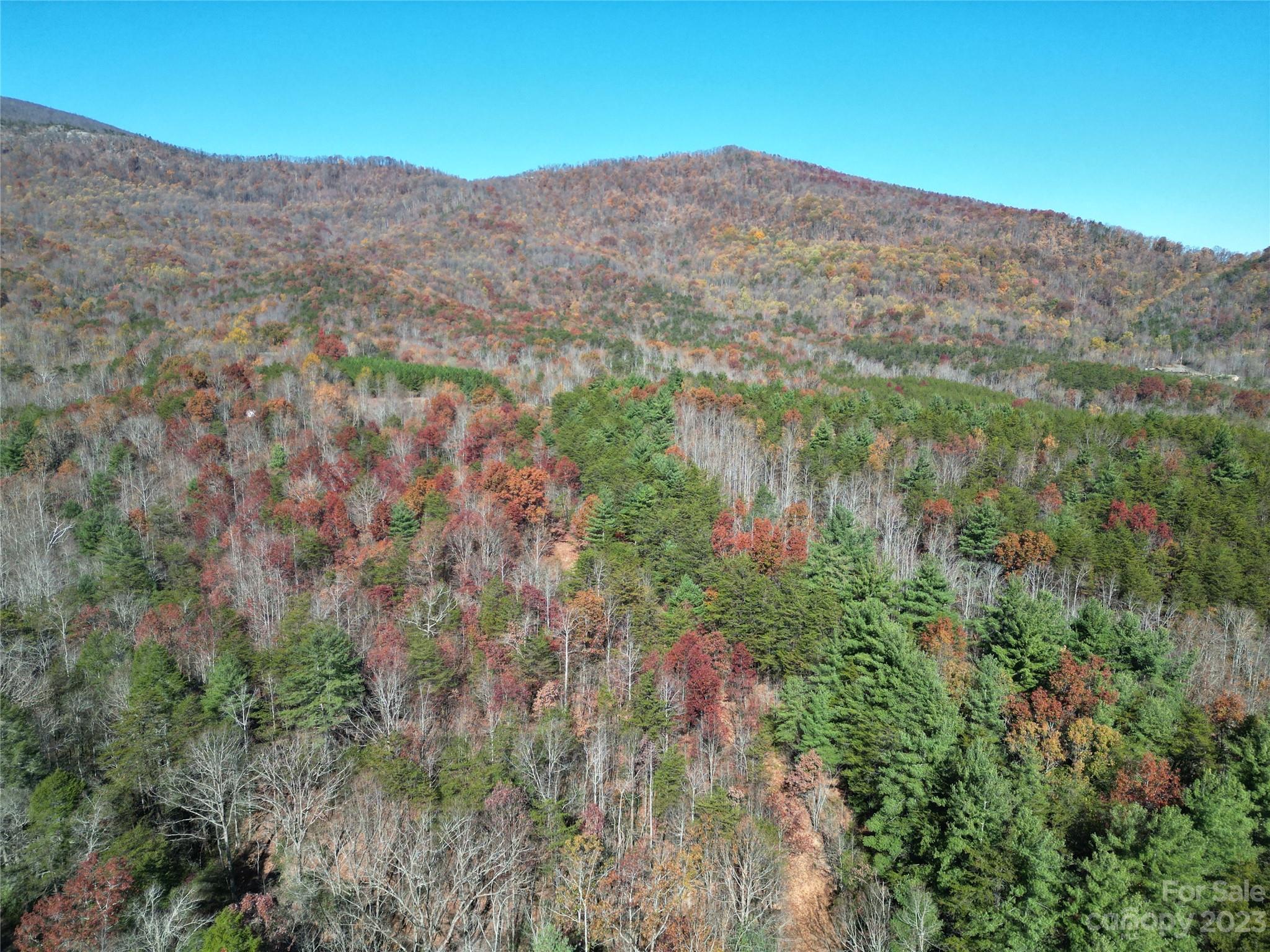 1163 State Rd Mill Spring Mill Spring, NC 28756 - Photo 23 of 31 a view of a mountain in the distance in a field