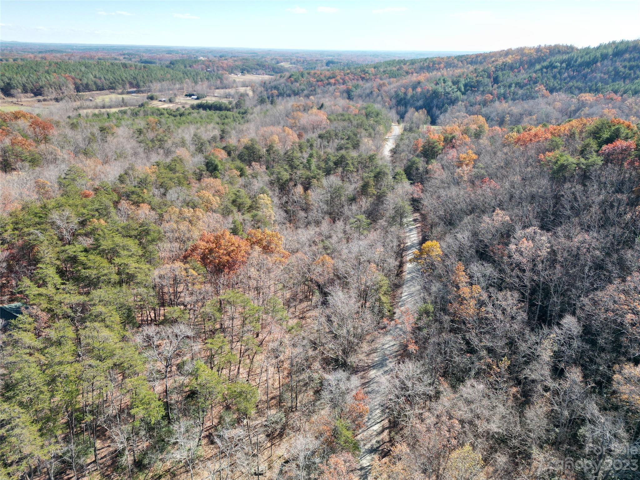 1163 State Rd Mill Spring Mill Spring, NC 28756 - Photo 26 of 31 an aerial view of forest