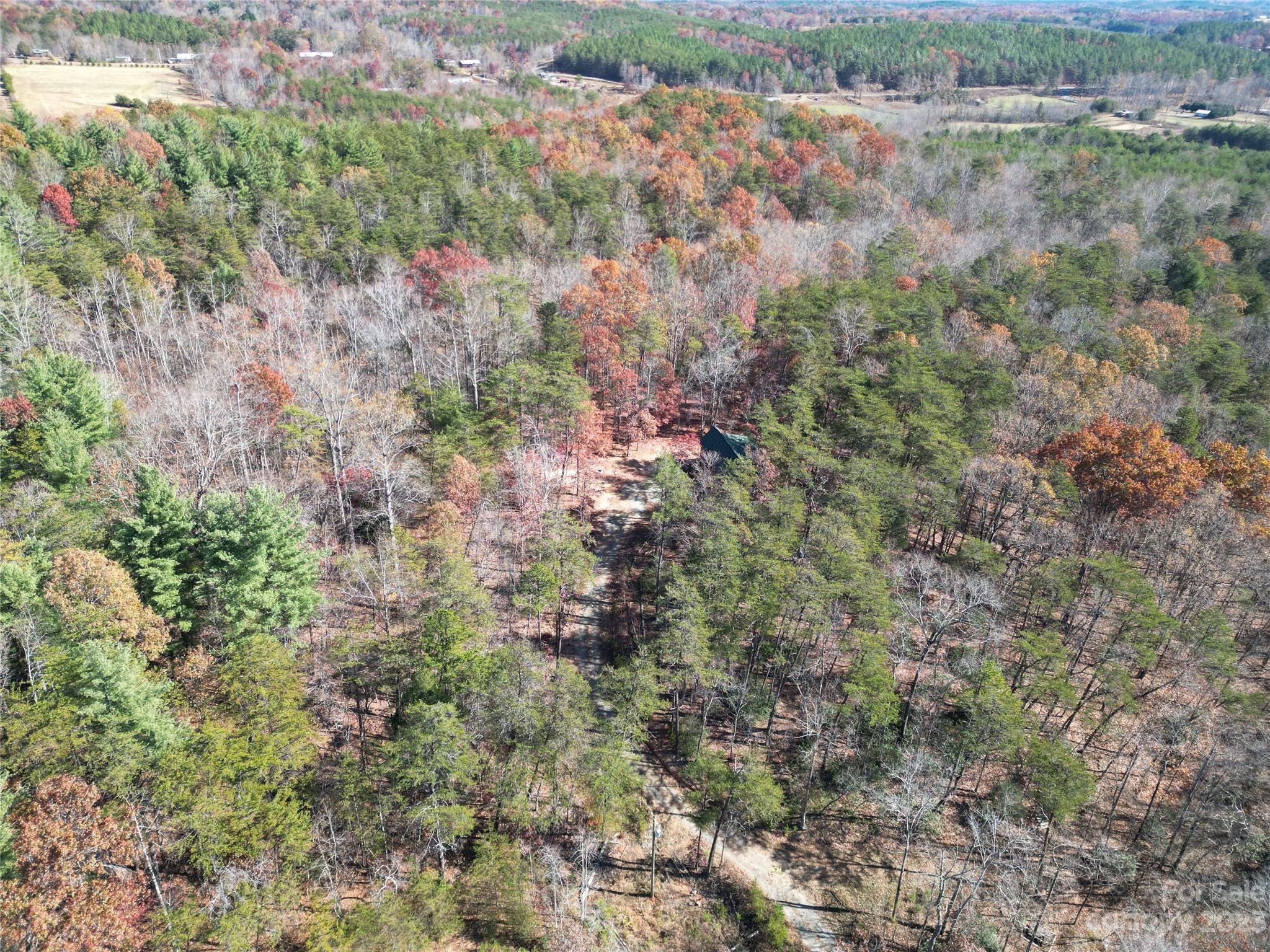 1163 State Rd Mill Spring Mill Spring, NC 28756 - Photo 27 of 31 a view of a forest with trees and houses