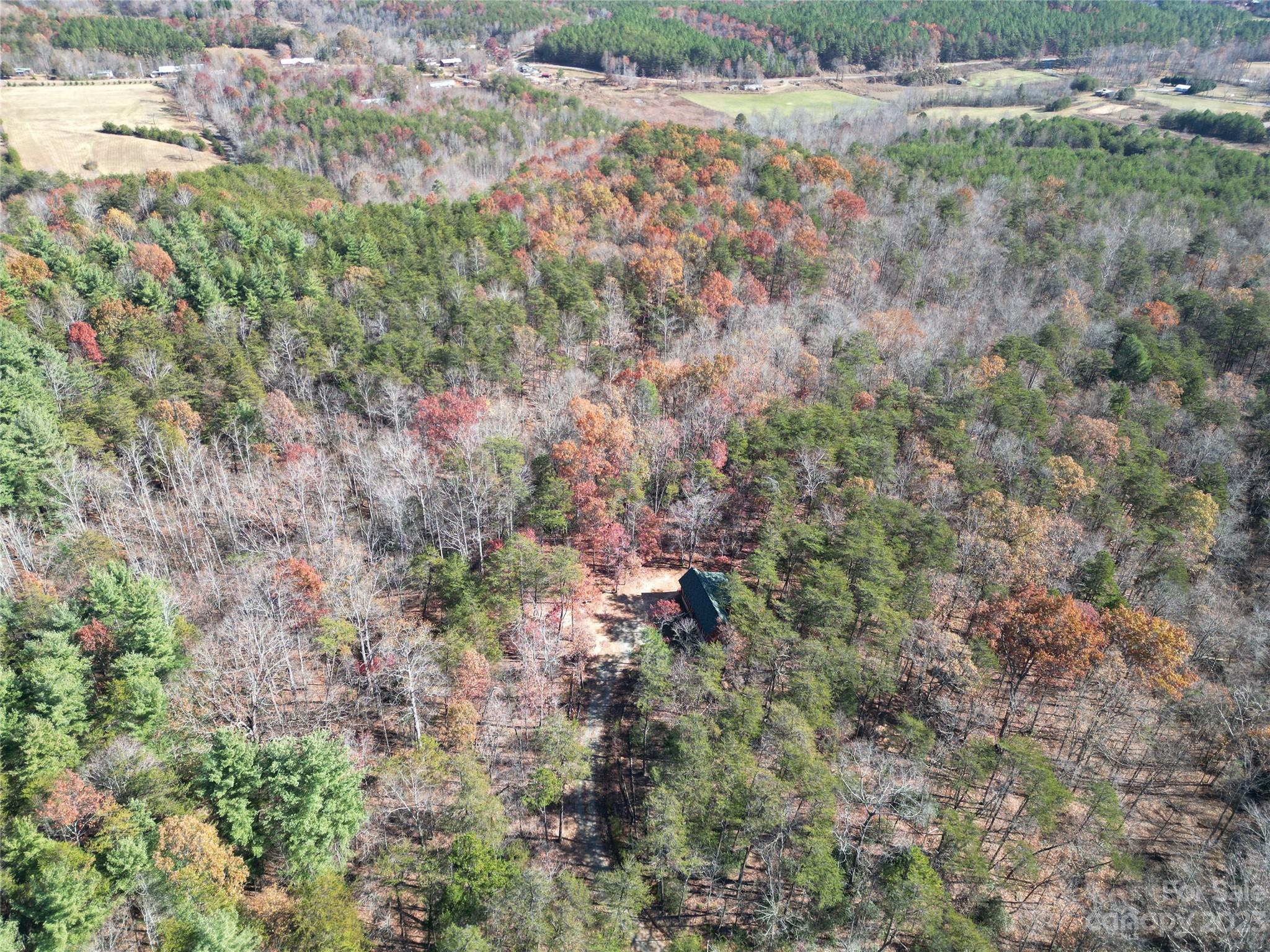 1163 State Rd Mill Spring Mill Spring, NC 28756 - Photo 28 of 31 a view of a forest with a tree