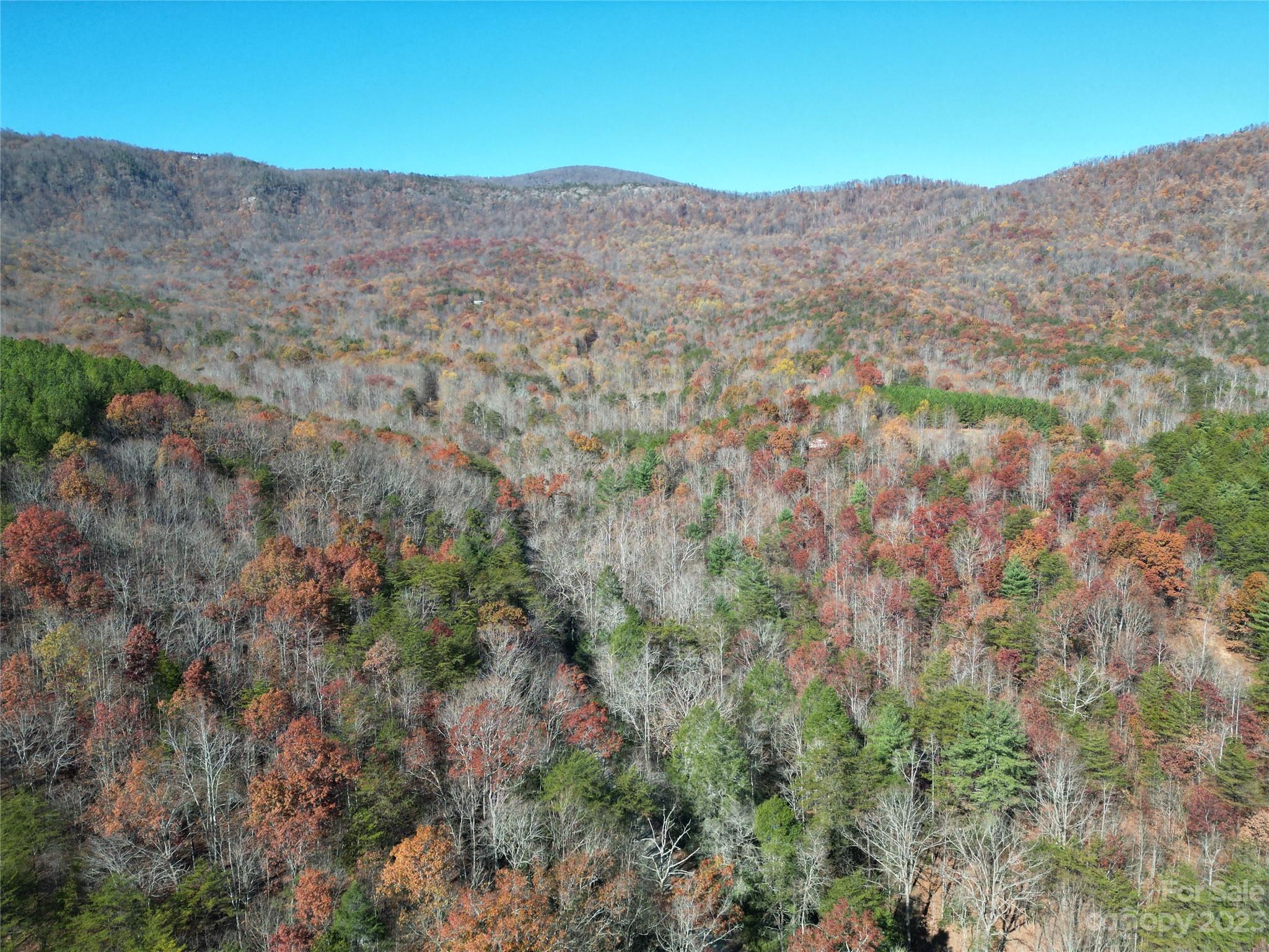 1163 State Rd Mill Spring Mill Spring, NC 28756 - Photo 4 of 31 a view of mountains and valleys