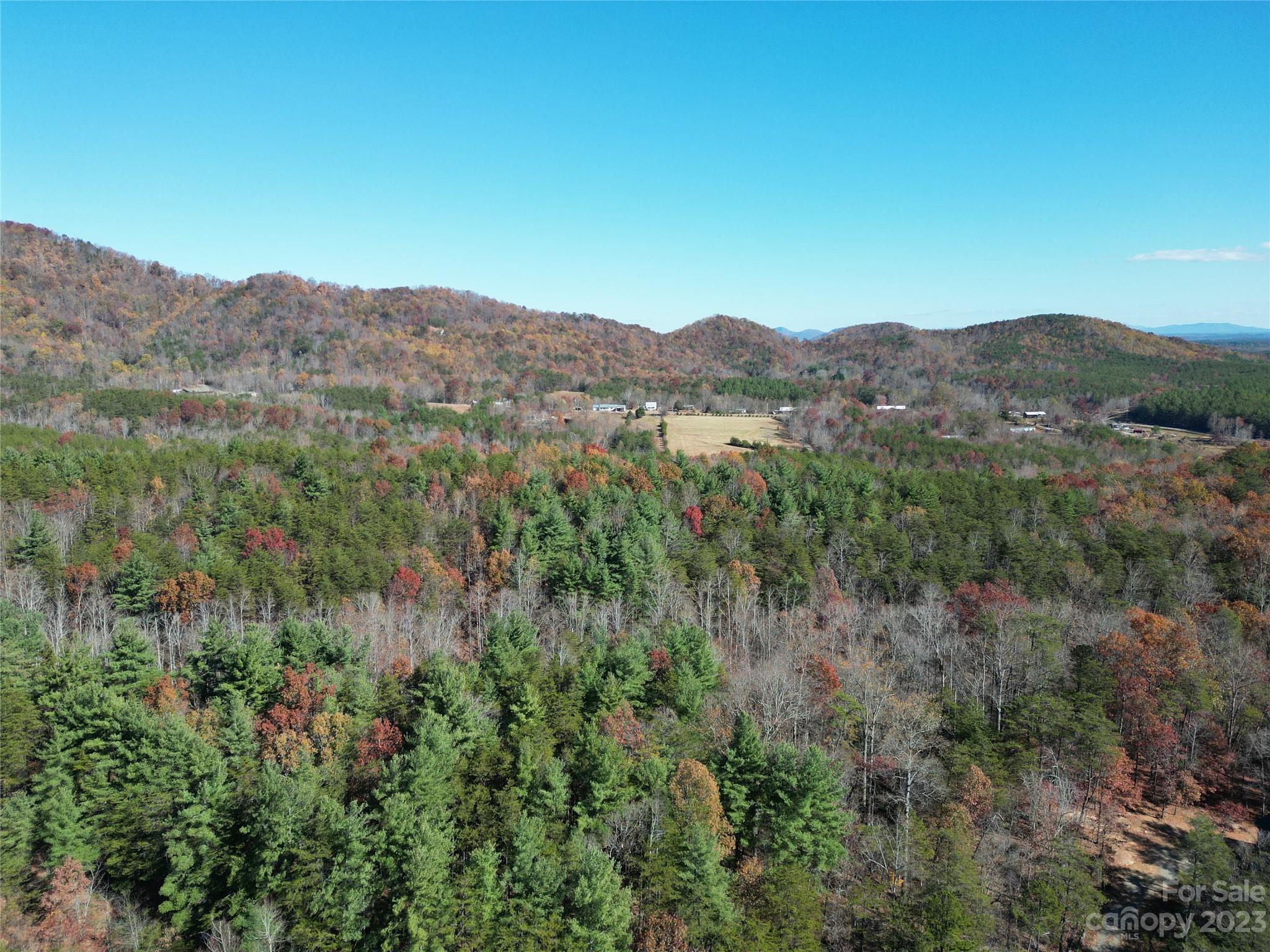 1163 State Rd Mill Spring Mill Spring, NC 28756 - Photo 5 of 31 a view of a mountain range with lush green forest