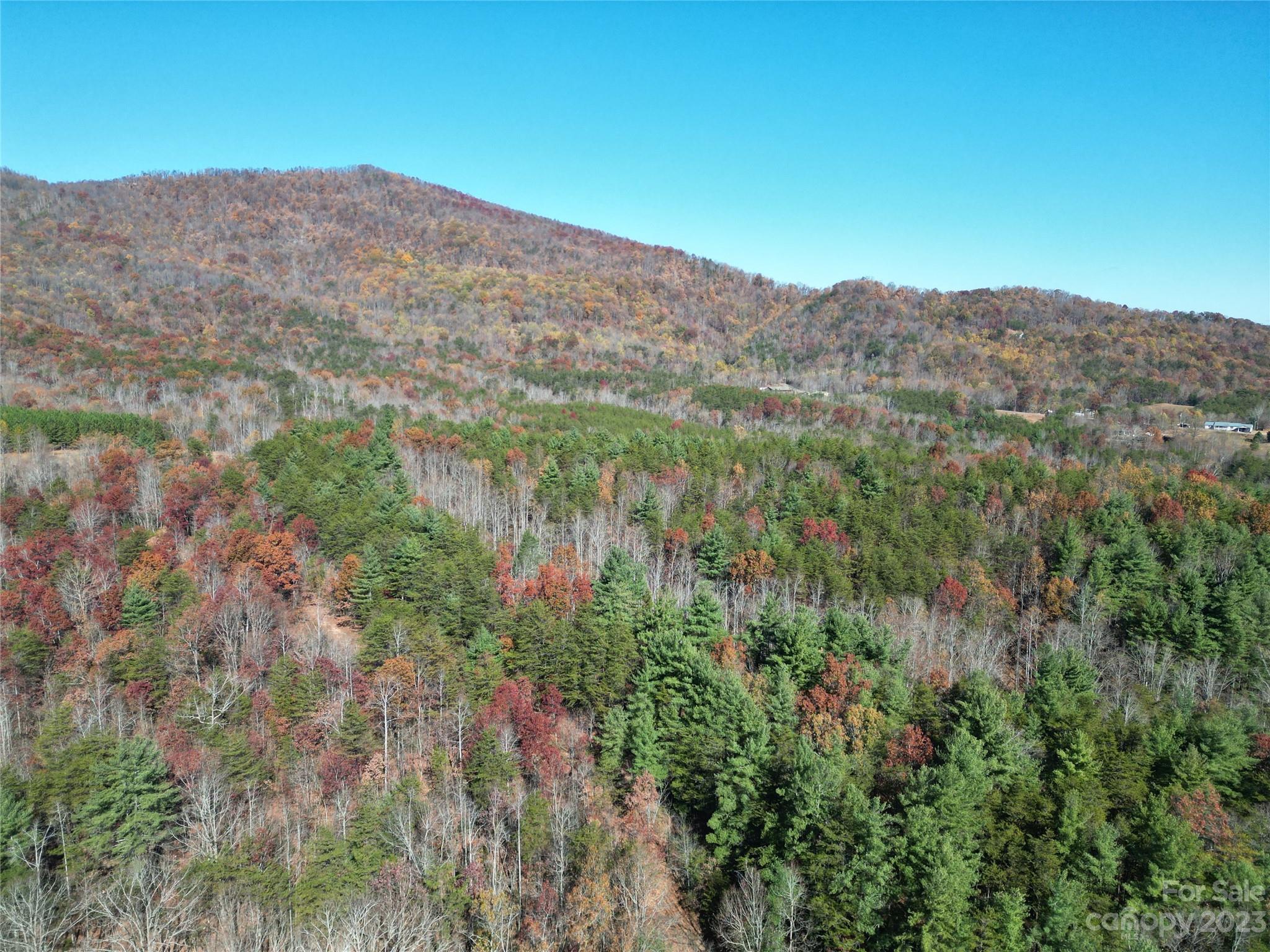1163 State Rd Mill Spring Mill Spring, NC 28756 - Photo 6 of 31 a view of a mountain in the distance in a field