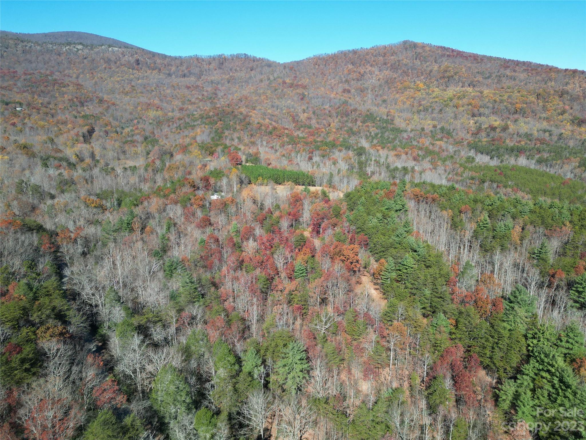 1163 State Rd Mill Spring Mill Spring, NC 28756 - Photo 7 of 31 a view of a mountain in the distance in a field