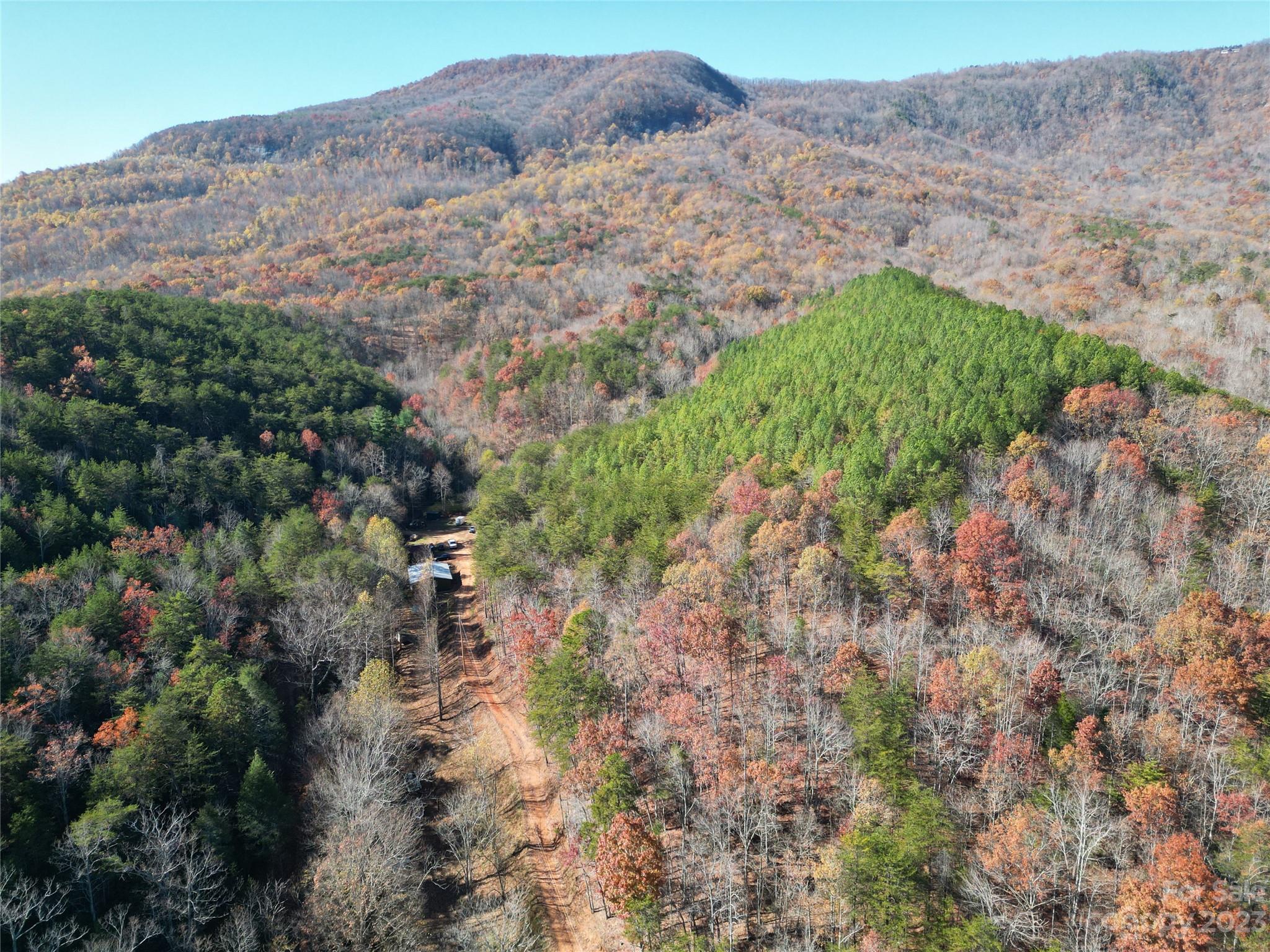 1163 State Rd Mill Spring Mill Spring, NC 28756 - Photo 10 of 31