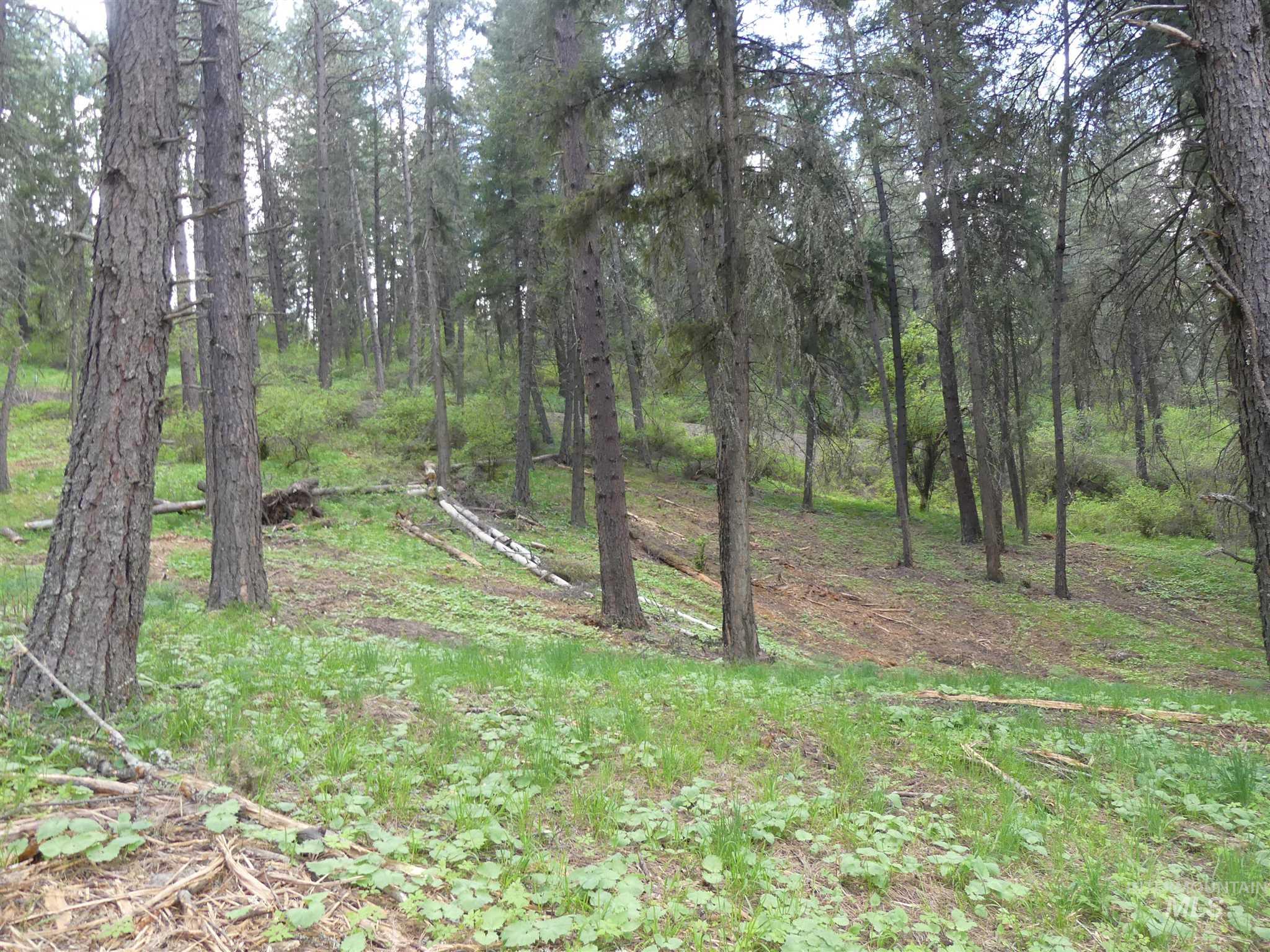 22743 Old Melrose Grade Road Peck, ID 83545 - Photo 40 of 45