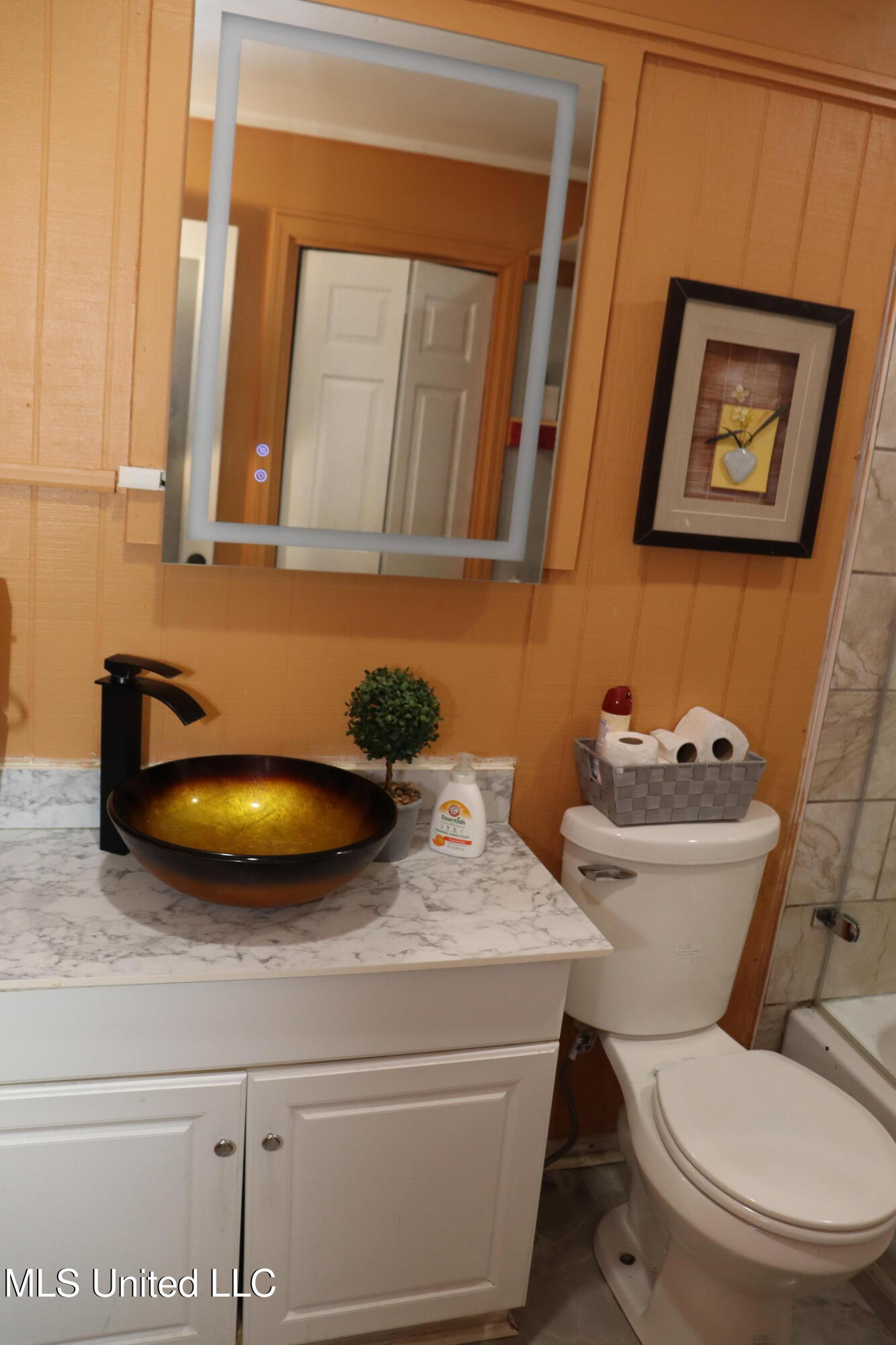 1264 Shell Oil Road Brandon, MS 39042 - Photo 35 of 51 Master Bathroom