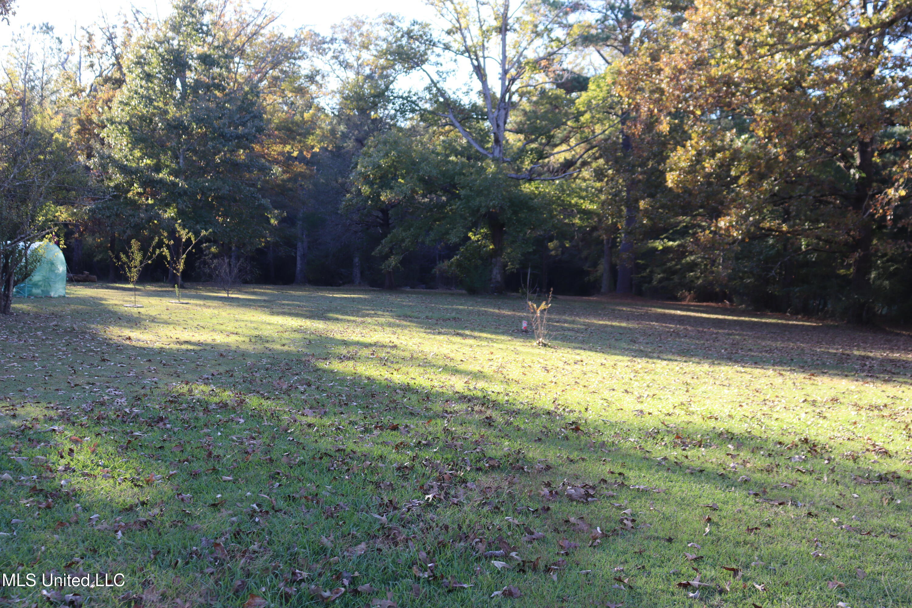 1264 Shell Oil Road Brandon, MS 39042 - Photo 48 of 51 Acreage