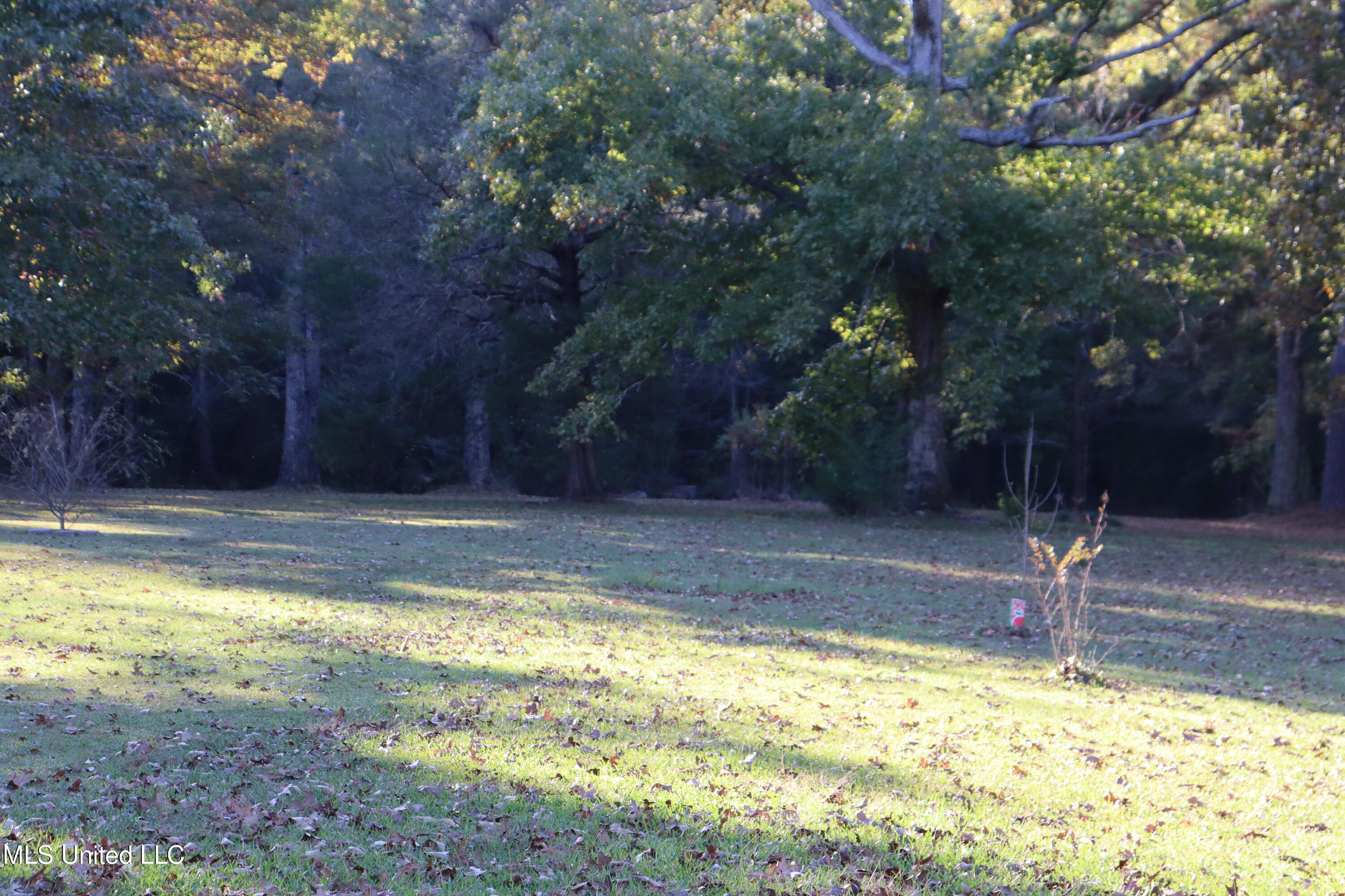 1264 Shell Oil Road Brandon, MS 39042 - Photo 49 of 51 Acreage