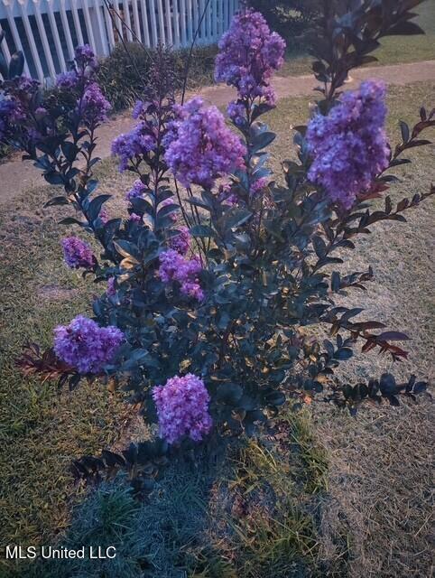 1264 Shell Oil Road Brandon, MS 39042 - Photo 50 of 51 Flower