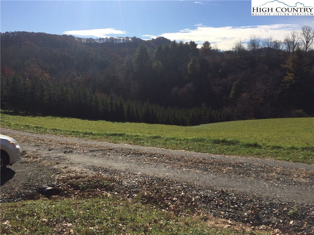 Bear Run Road Lansing, NC 28643 - Photo 1 of 14