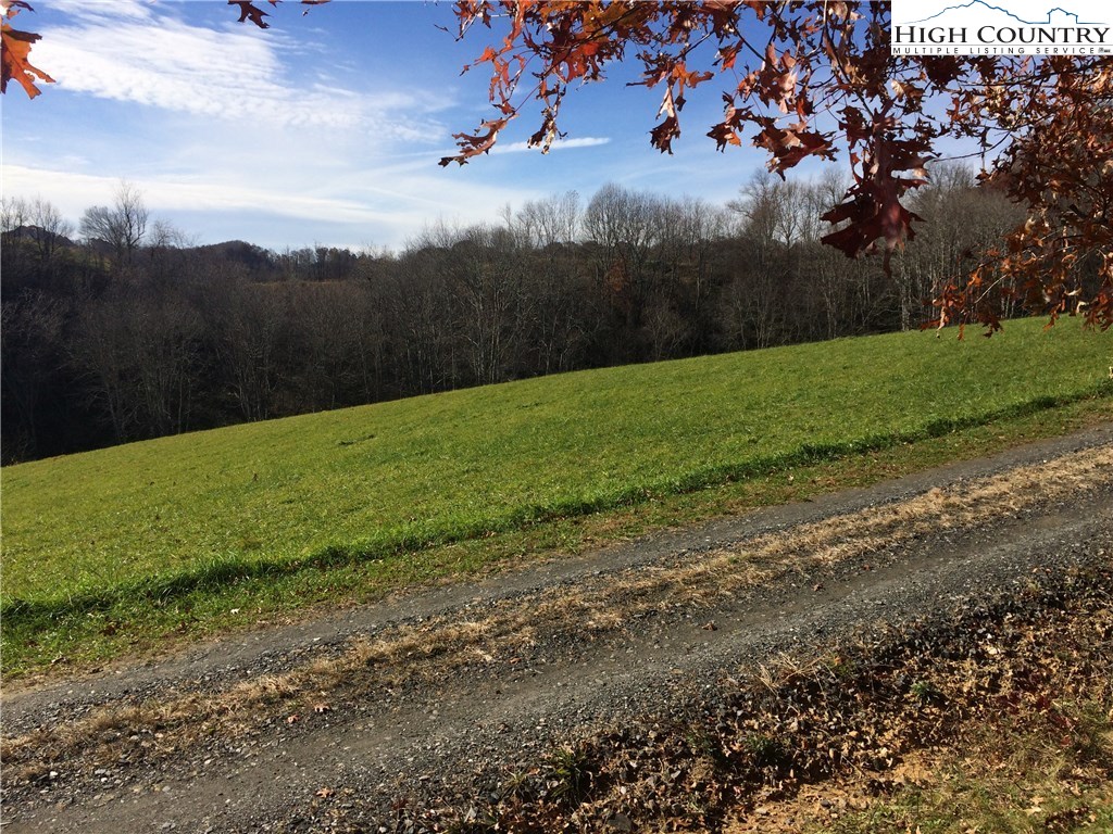 Bear Run Road Lansing, NC 28643 - Photo 3 of 14