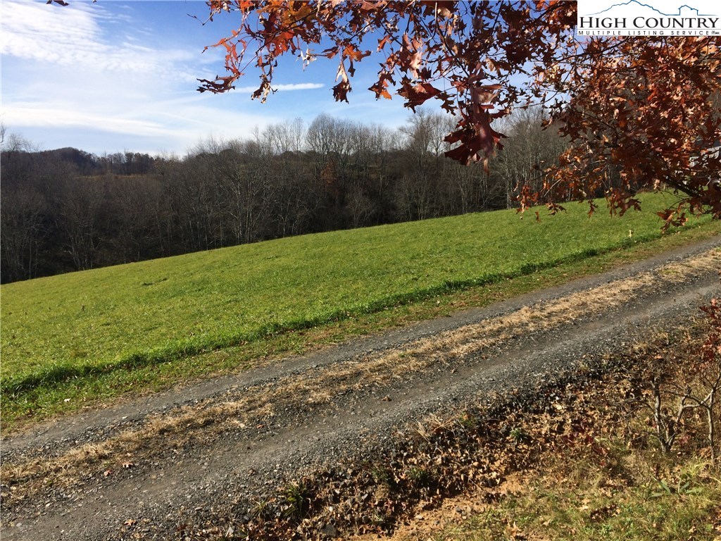 Bear Run Road Lansing, NC 28643 - Photo 4 of 14
