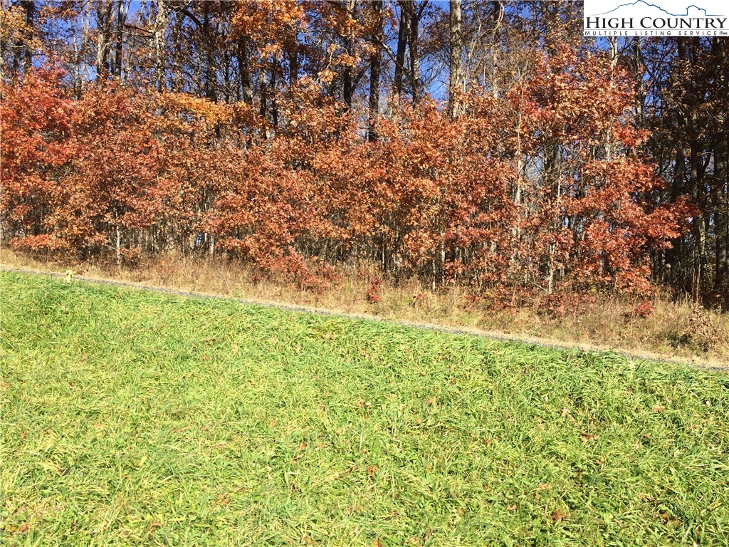Bear Run Road Lansing, NC 28643 - Photo 6 of 14