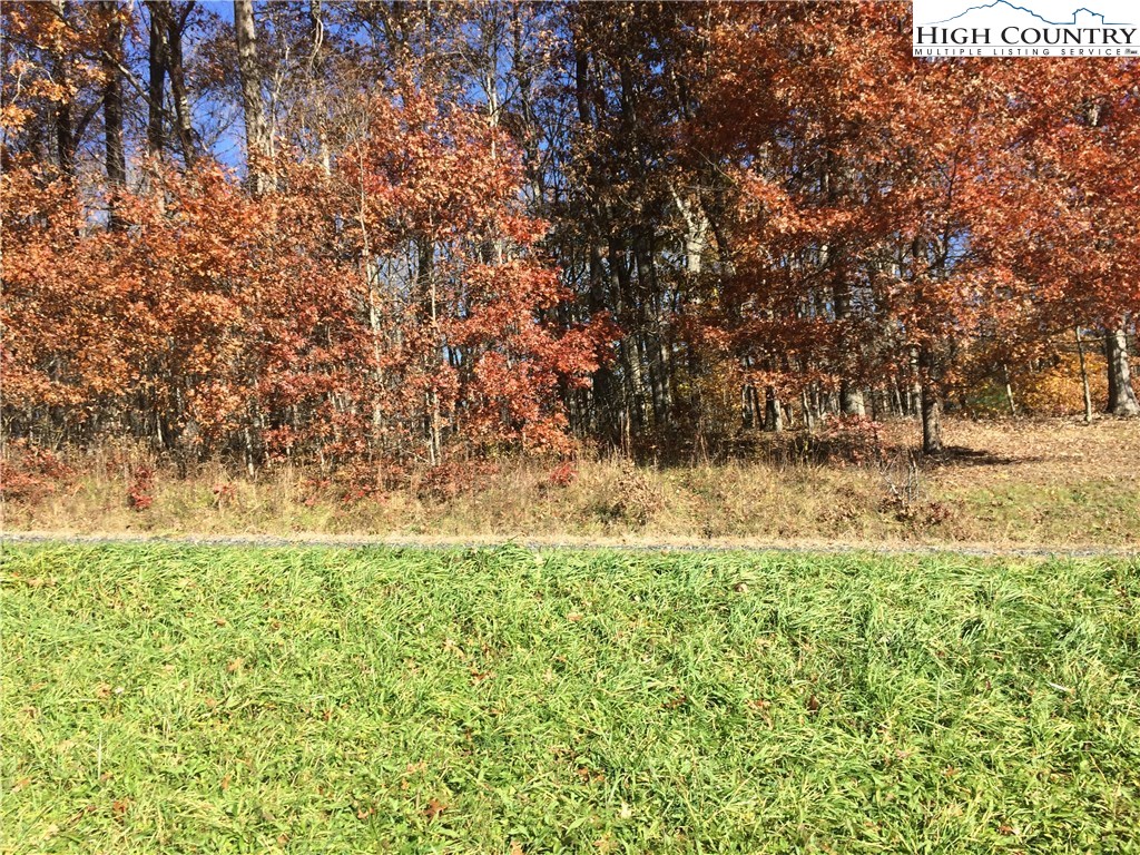 Bear Run Road Lansing, NC 28643 - Photo 7 of 14