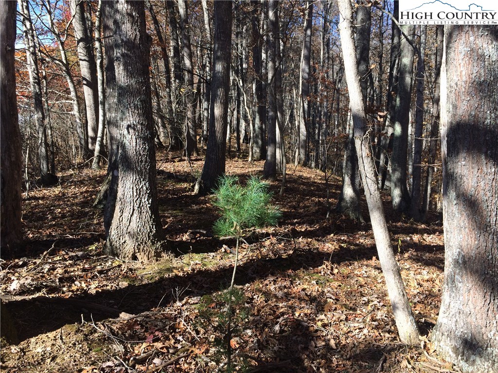 Bear Run Road Lansing, NC 28643 - Photo 10 of 14