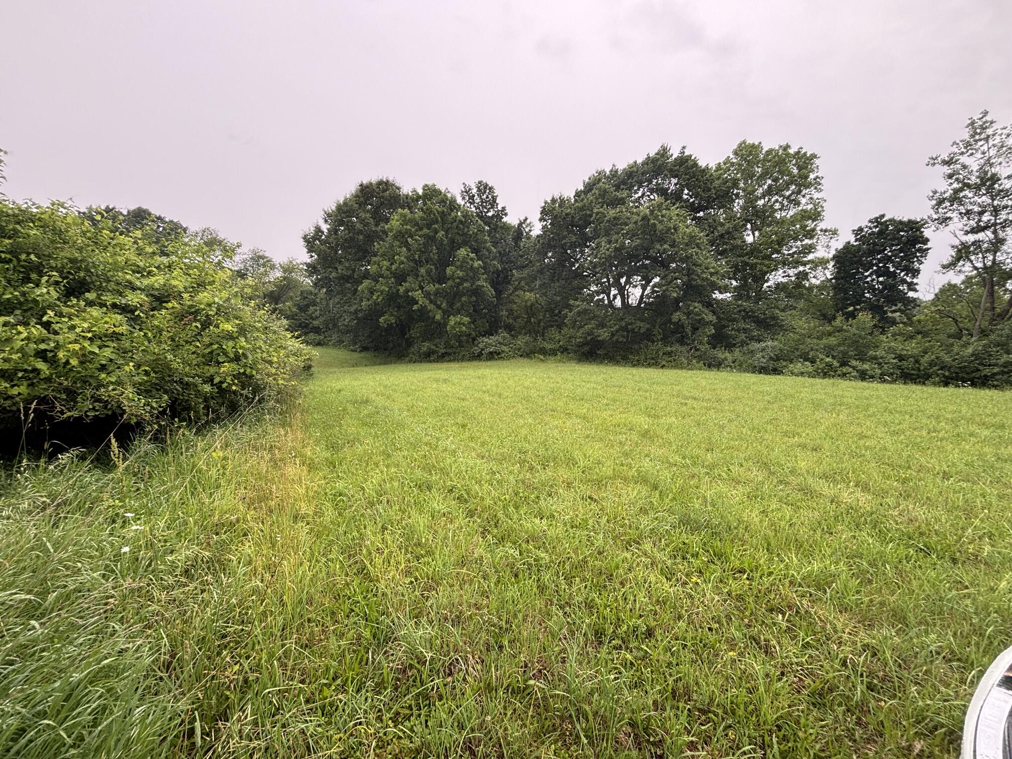 Vl Hawkins Road Jackson, MI 49201 - Photo 4 of 5 IMG_1408