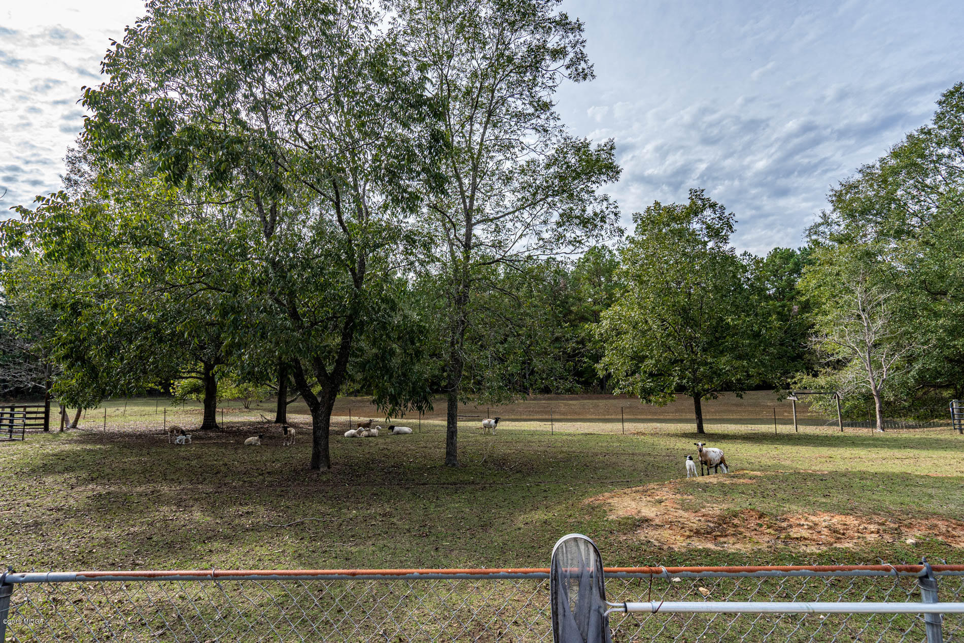 2064 Midway Road Lizella, GA 31052 - Photo 29 of 40 a view of a park with large trees