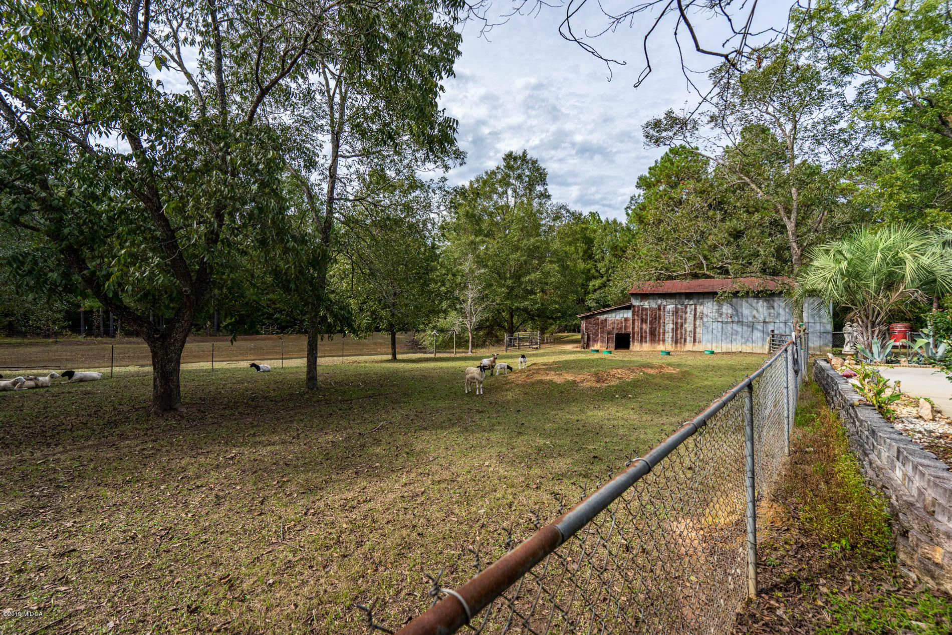 2064 Midway Road Lizella, GA 31052 - Photo 38 of 40 a view of a yard with a tree