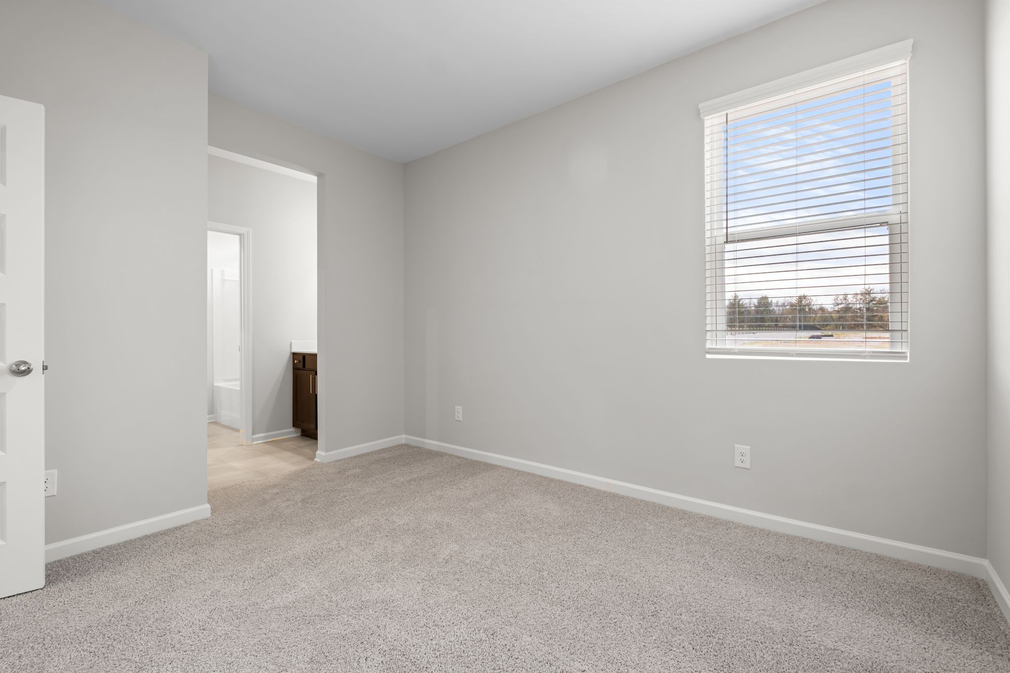 507 Pine Valley Rd Mount Mount Juliet, TN 37122 - Photo 35 of 48 an empty room with windows and closet