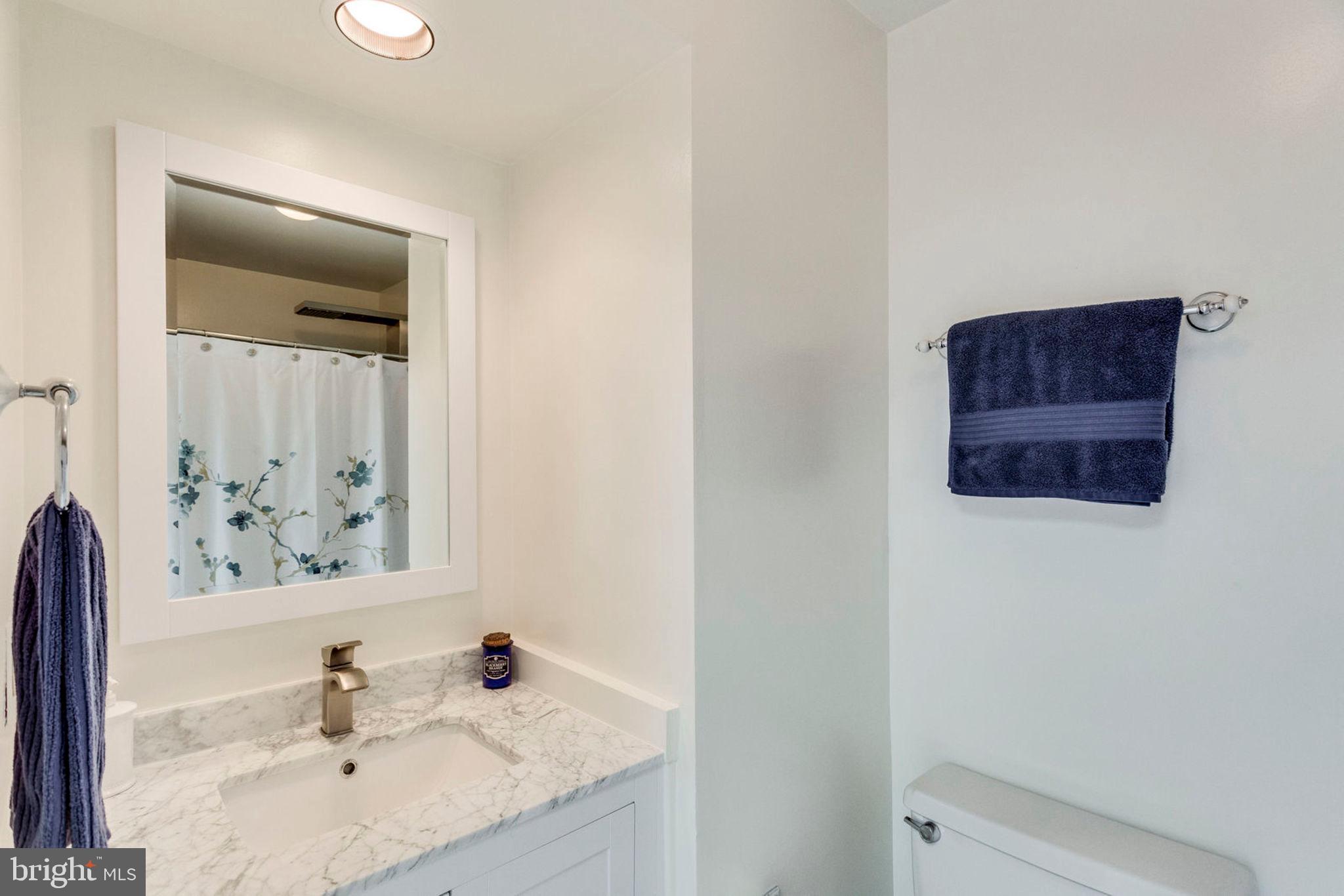 2001 Turtle Pond Drive Reston, VA 20191 - Photo 54 of 79 Gallery Image 54