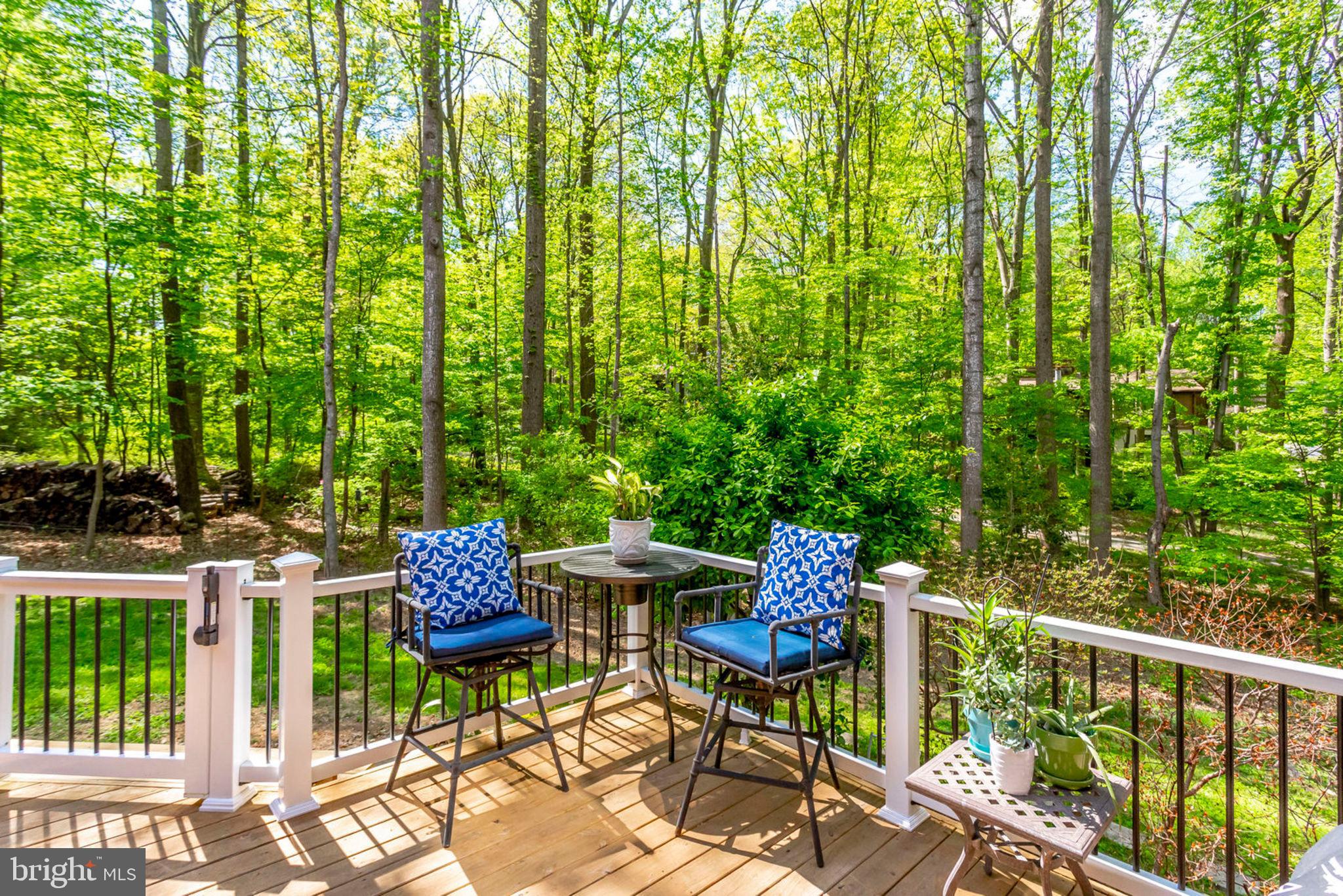 2001 Turtle Pond Drive Reston, VA 20191 - Photo 63 of 79 Gallery Image 63