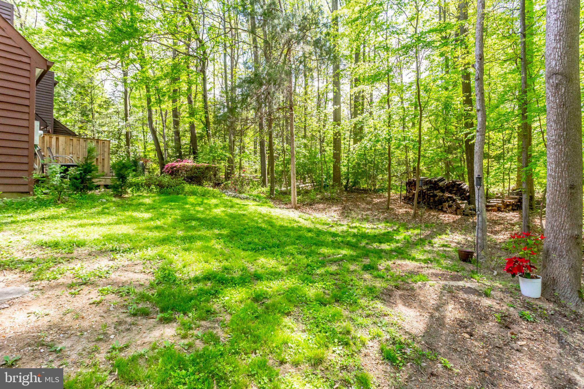 2001 Turtle Pond Drive Reston, VA 20191 - Photo 66 of 79 Gallery Image 66