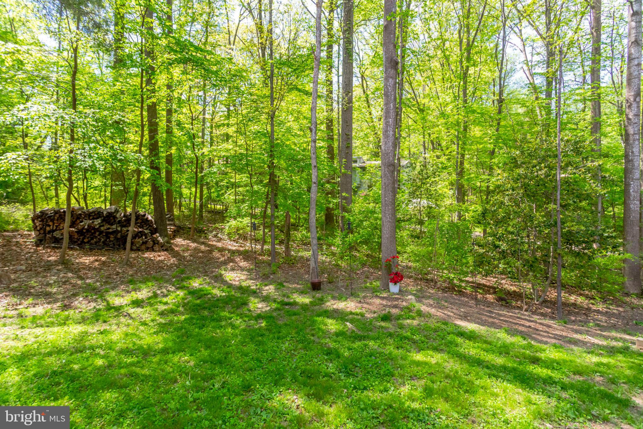 2001 Turtle Pond Drive Reston, VA 20191 - Photo 68 of 79 Gallery Image 68