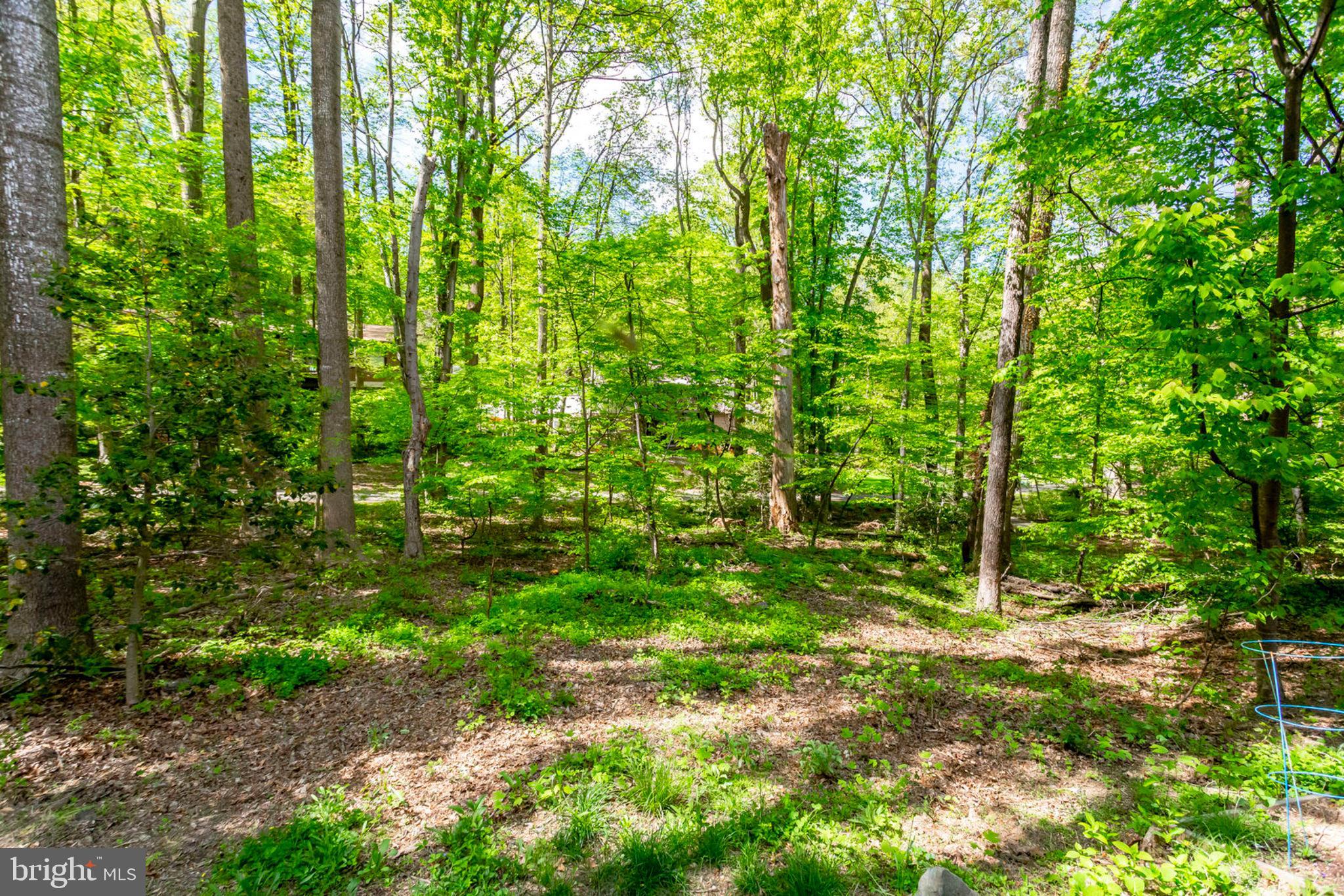 2001 Turtle Pond Drive Reston, VA 20191 - Photo 72 of 79 Gallery Image 72
