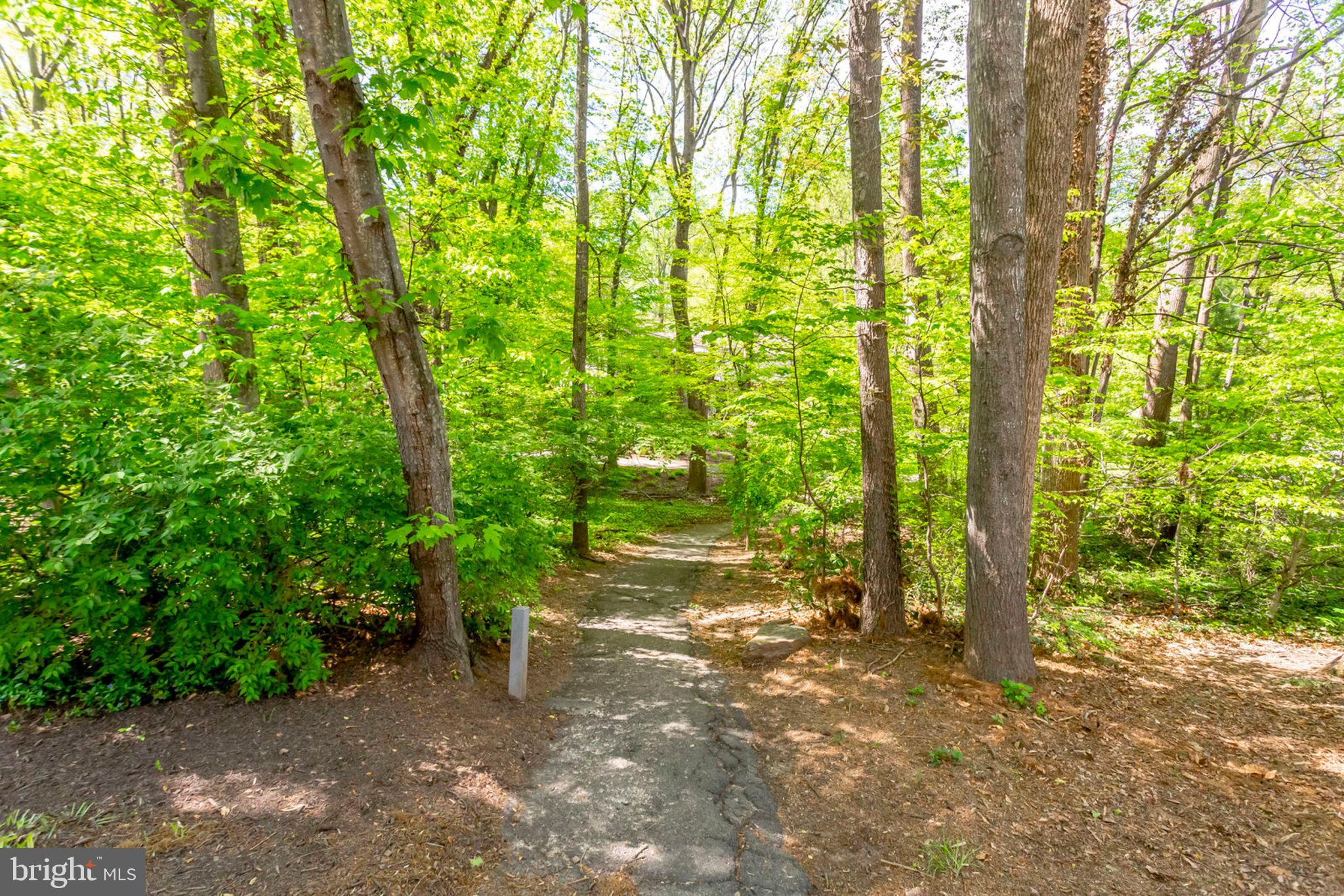 2001 Turtle Pond Drive Reston, VA 20191 - Photo 78 of 79 Gallery Image 78