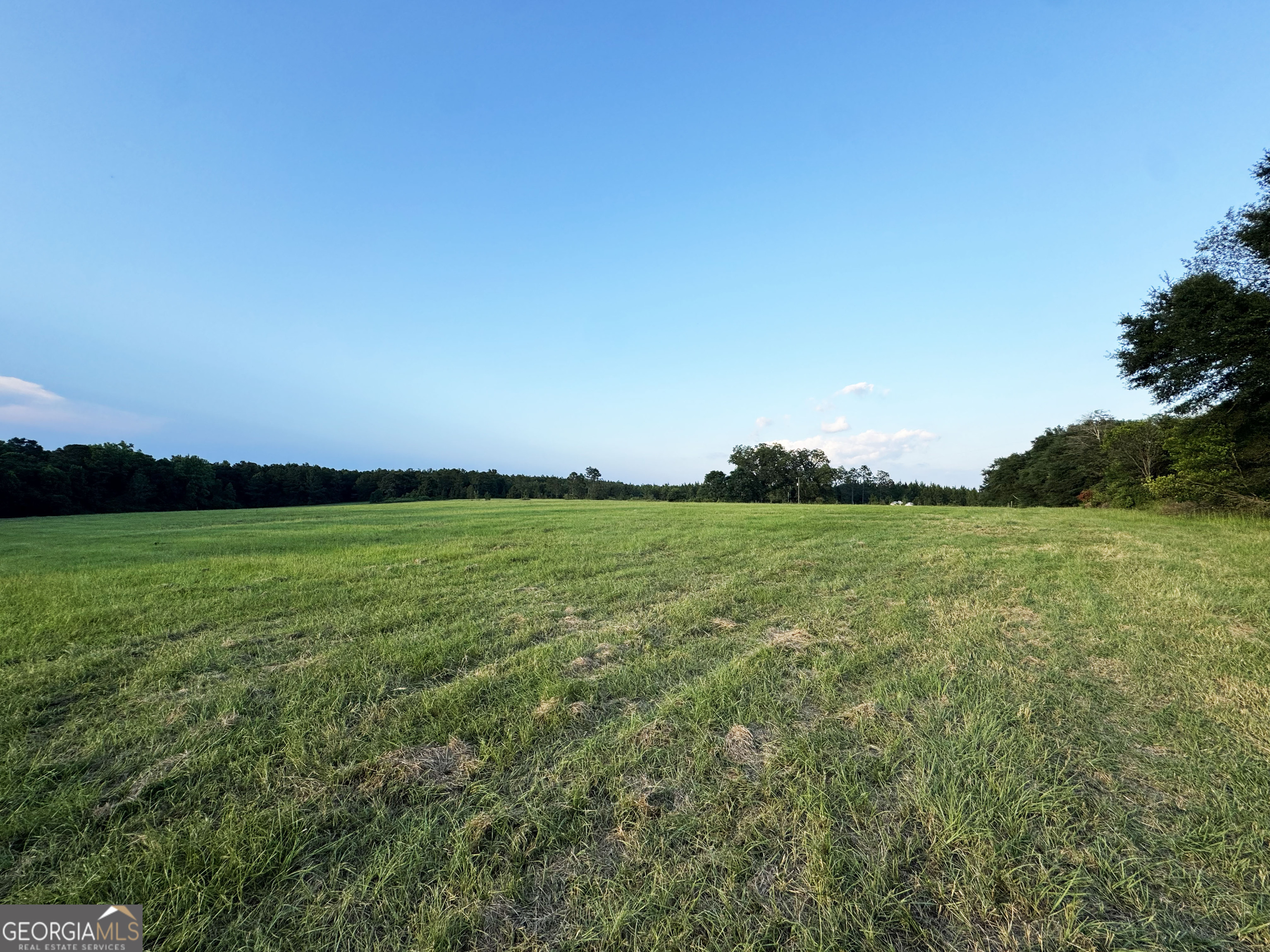 Tbd Tbd Wooten Road Cuthbert, GA 39840 - Photo 48 of 71