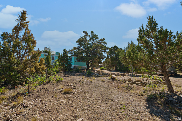12615 Cedar Ridge Drive, Unit C41 Fairview, UT 84629 - Photo 10 of 32 View of yard