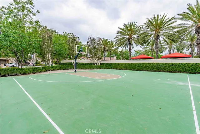 a view of a park with palm trees
