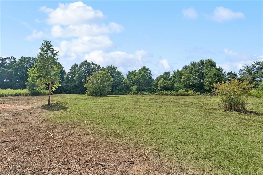 17340 Otis Slaven Road Kentwood, LA 70444 - Photo 15 of 17