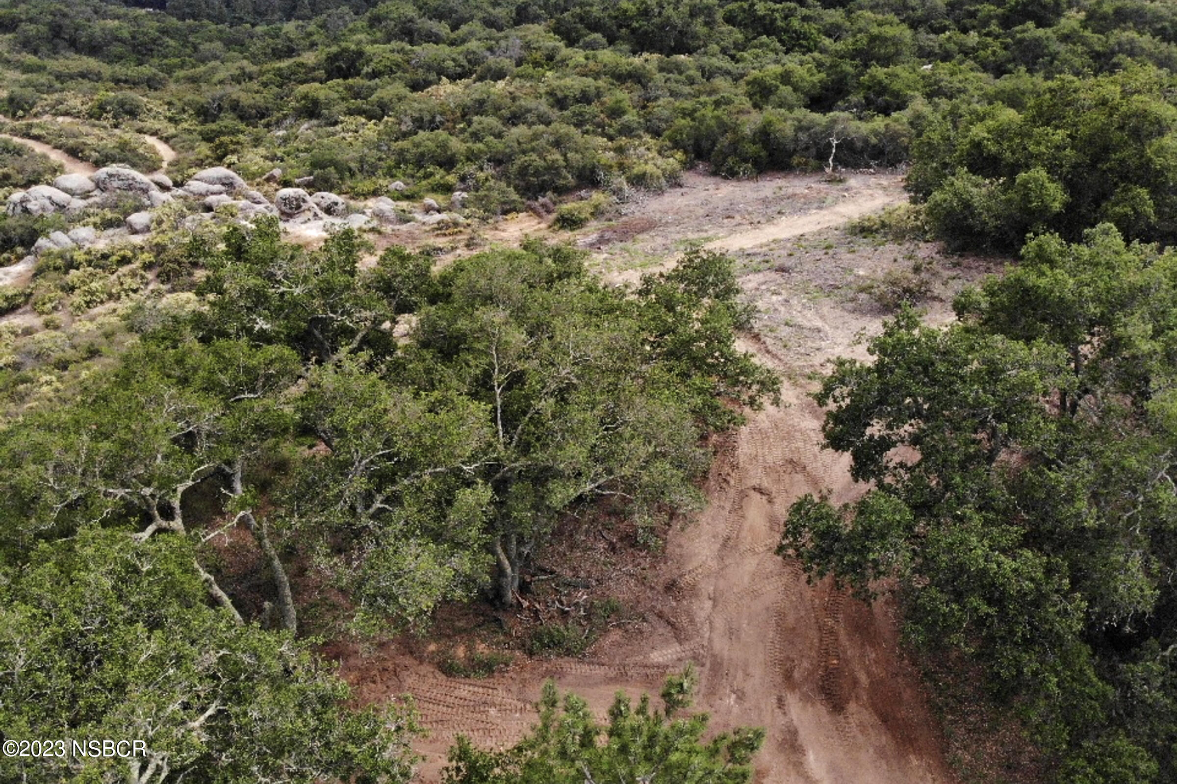 0 Stagecoach Road Santa Barbara, CA 93105 - Photo 18 of 20 a view of a forest with plants and a forest