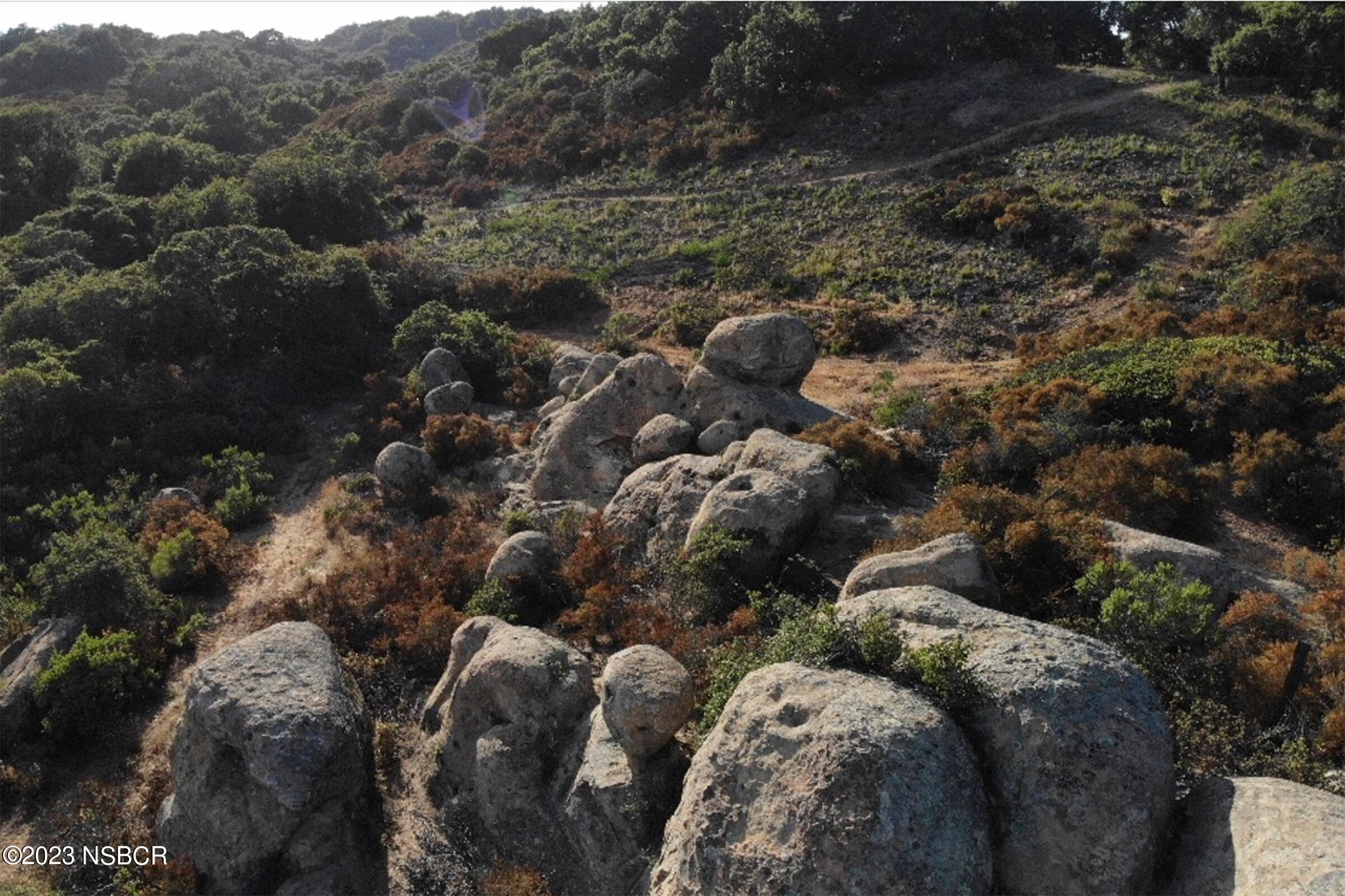 0 Stagecoach Road Santa Barbara, CA 93105 - Photo 8 of 20 a view of a forest with lots of bushes