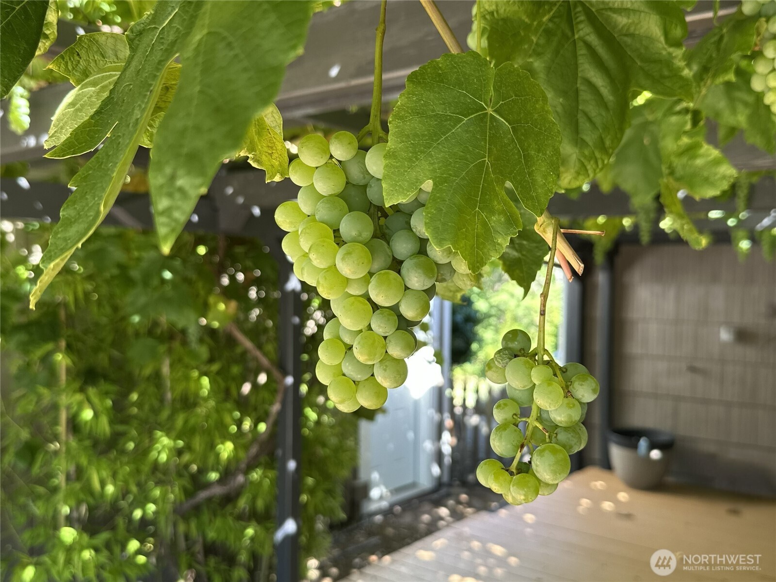 3916 Rosedale Street Northwest Gig Harbor, WA 98335 - Photo 33 of 36