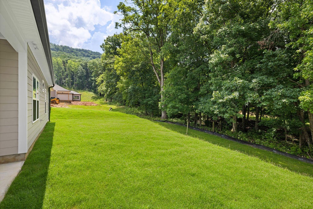 9840 Mayfly Road Ooltewah, TN 37363 - Photo 34 of 39 Gallery Image 34