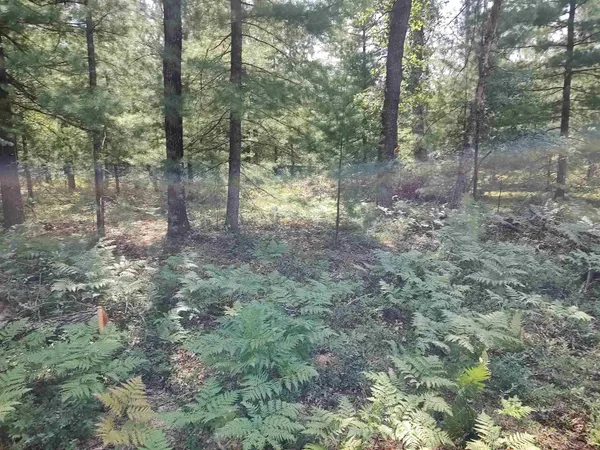 $3,600 | Lot 186 Winterset Drive, Unit LOT: 186, Alger, MI 48610
